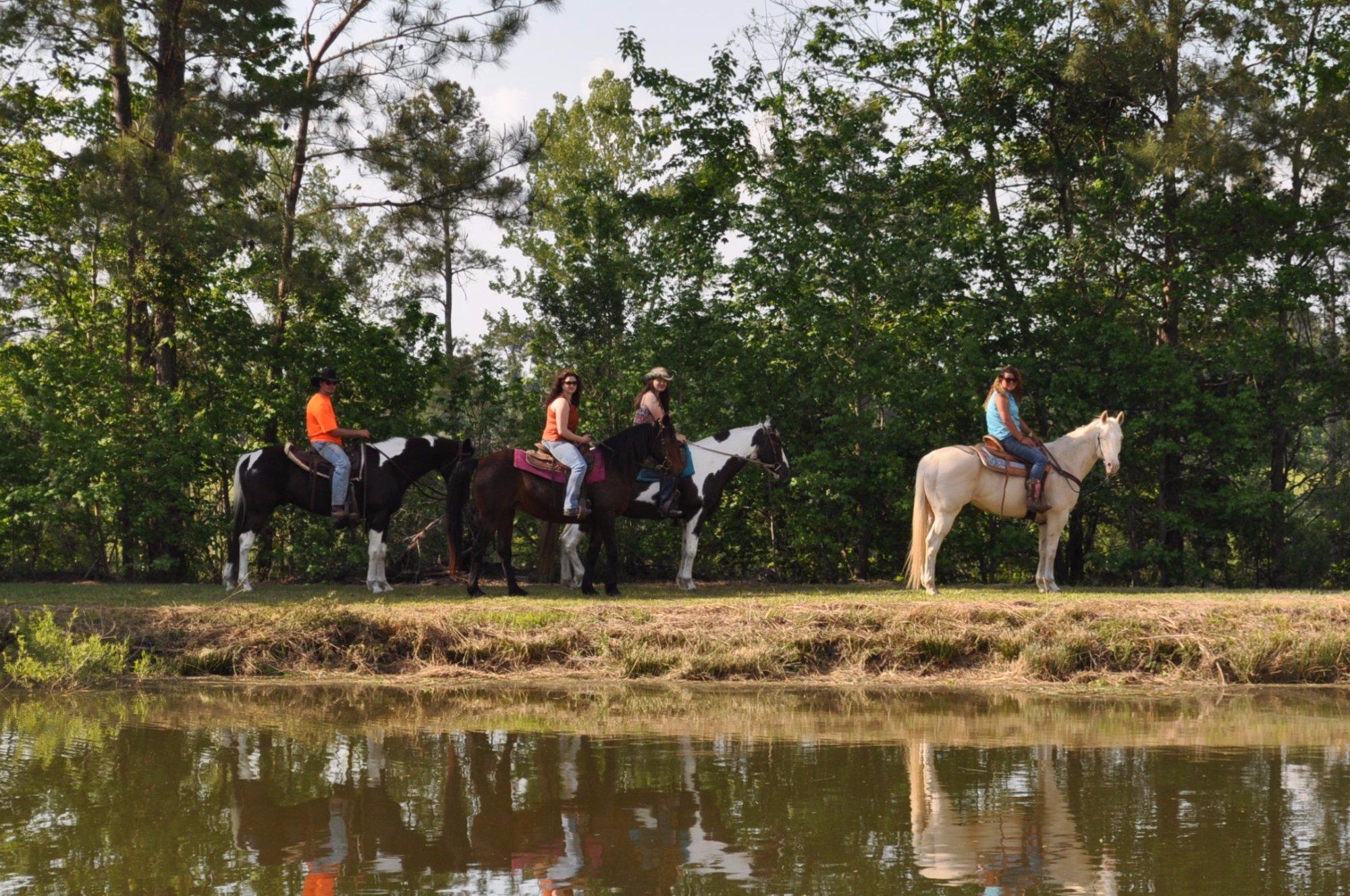 Grand Strand Horseback Riding