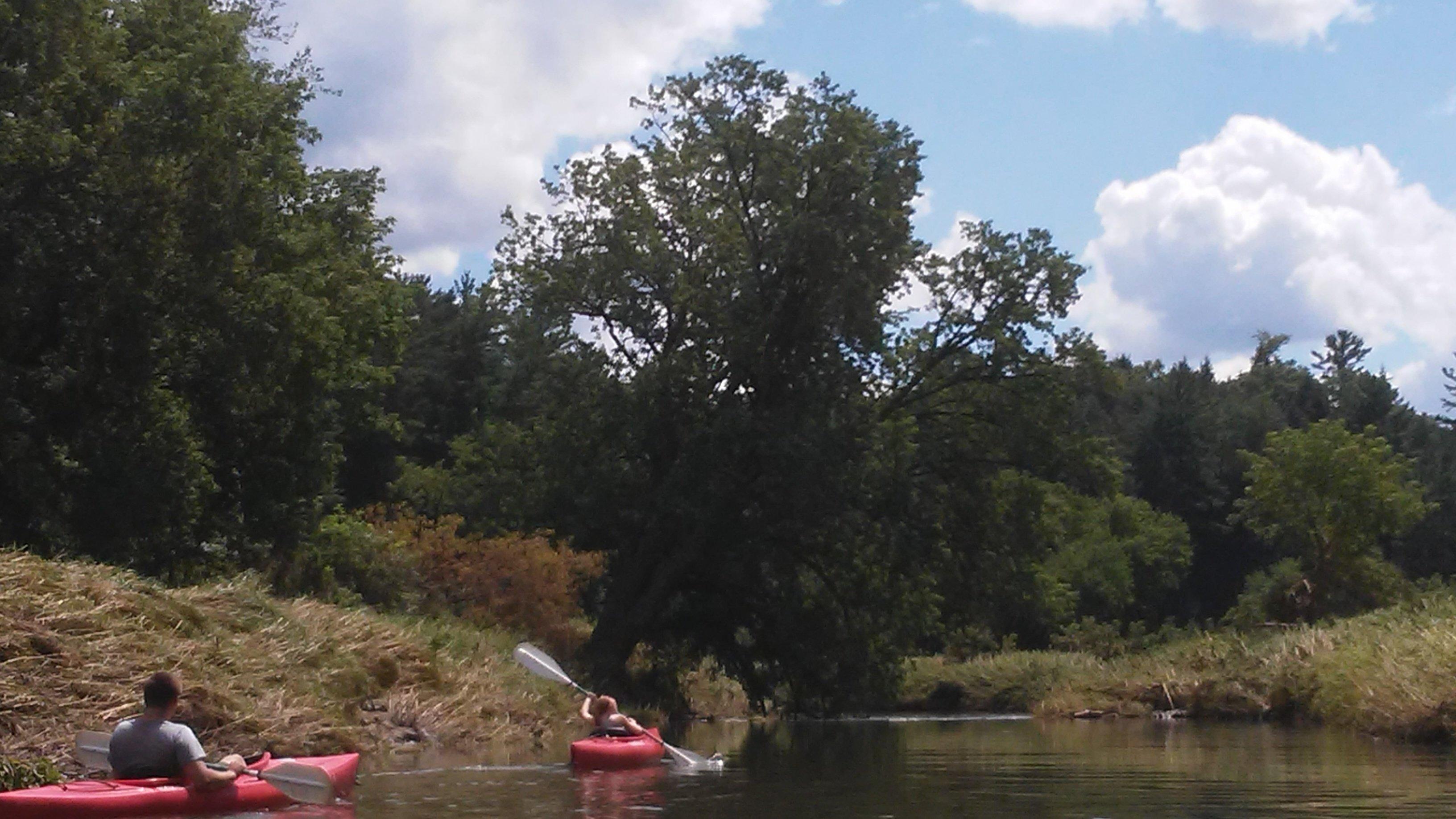 Kickapoo Wild Adventures