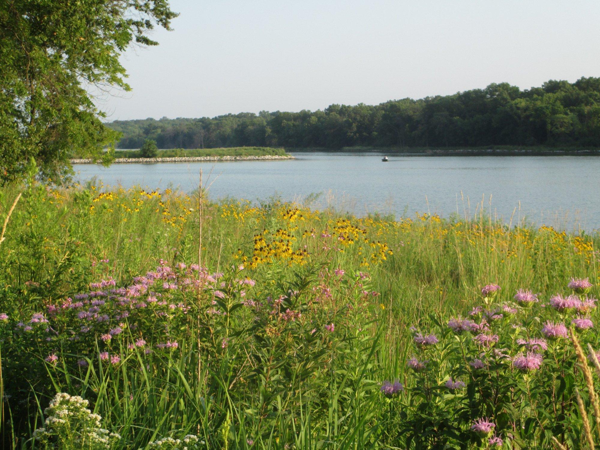 Lake Darling State Park