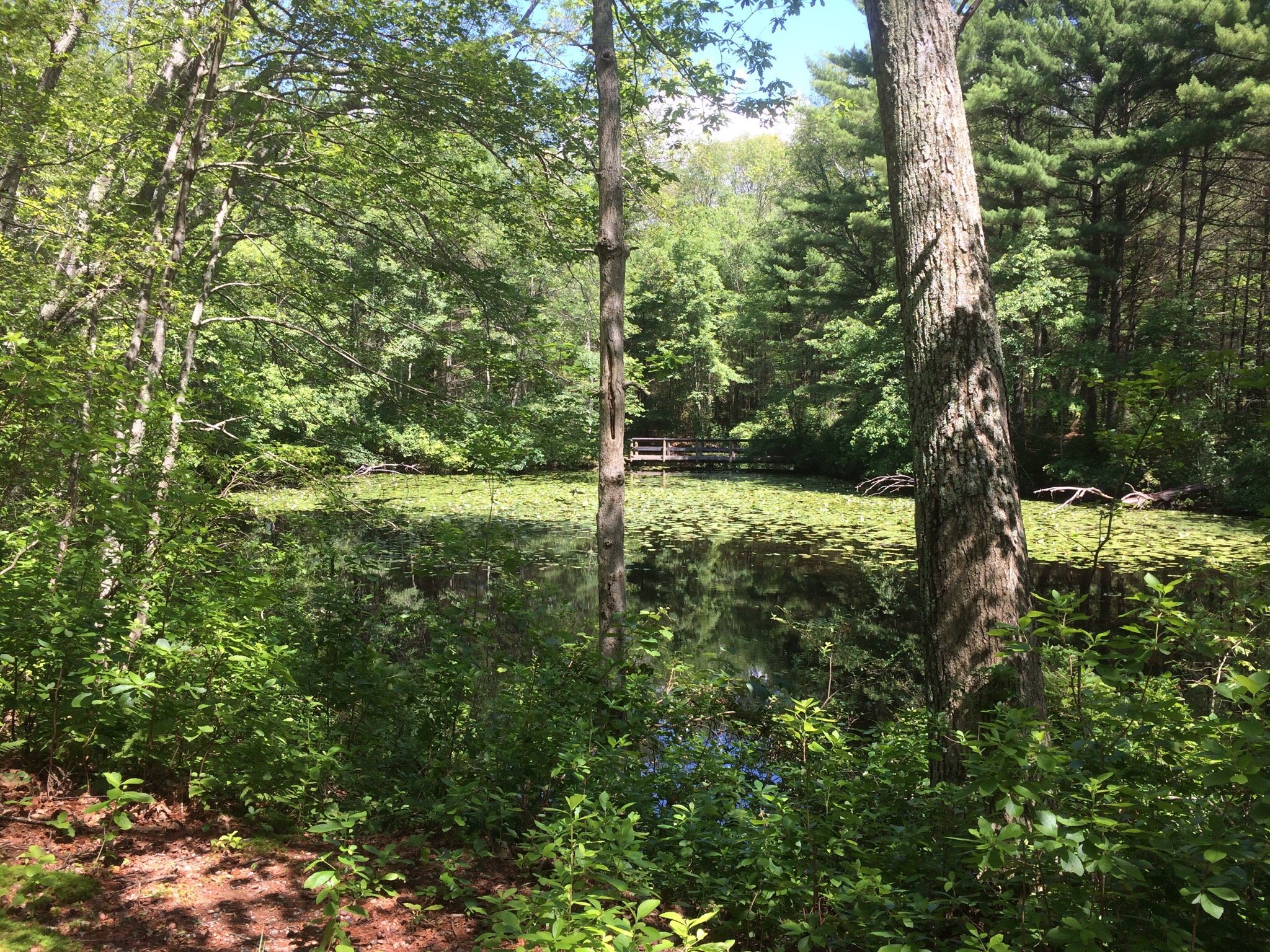 Hopeville Pond State Park