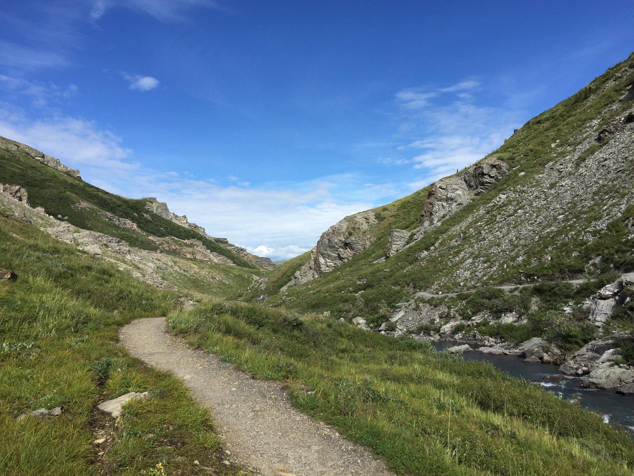 Savage River Loop Trail