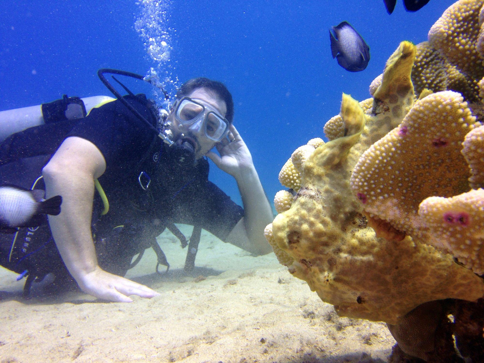 Maui Diving - Scuba & Snorkel Center