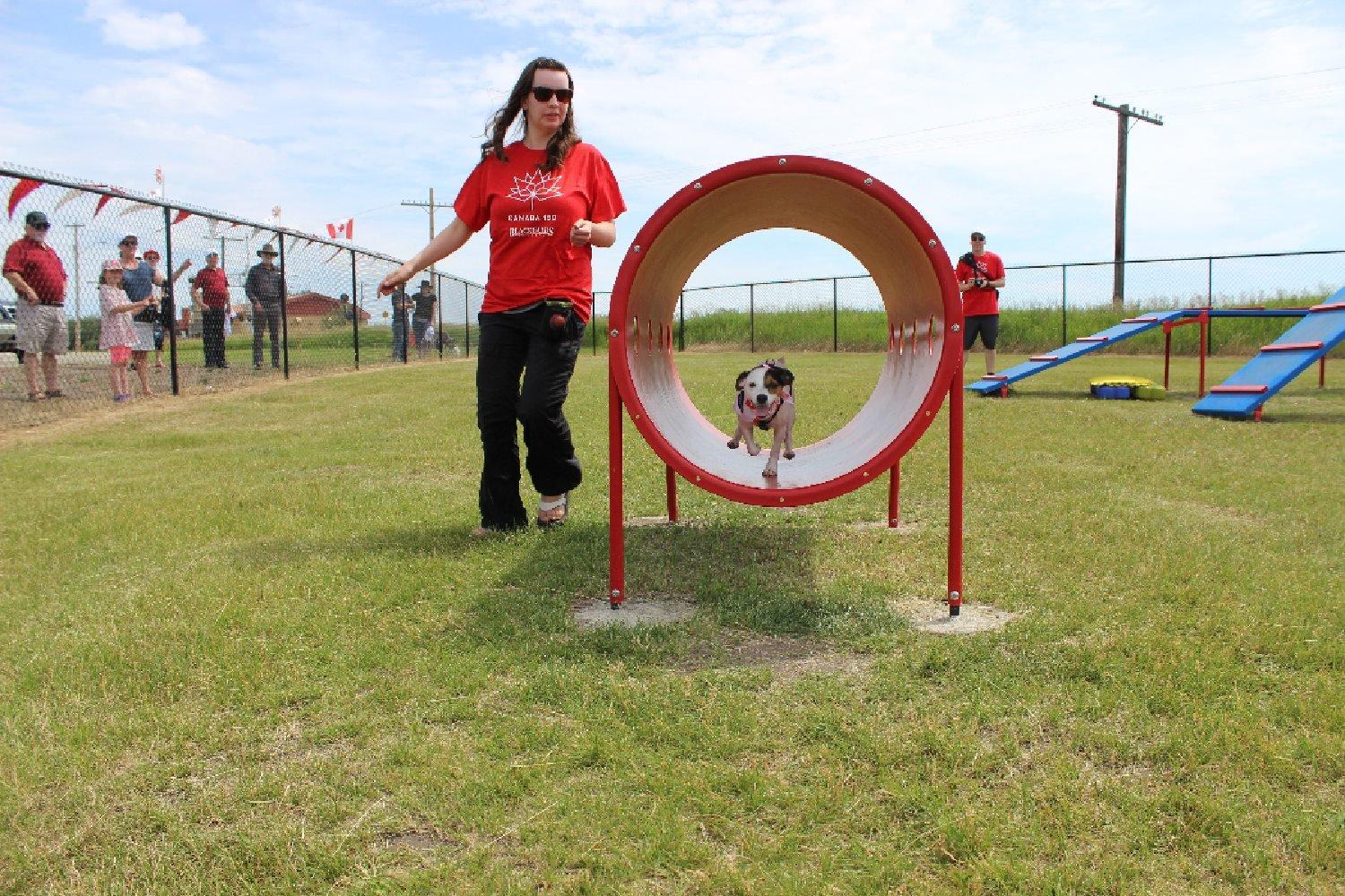 Bark Park