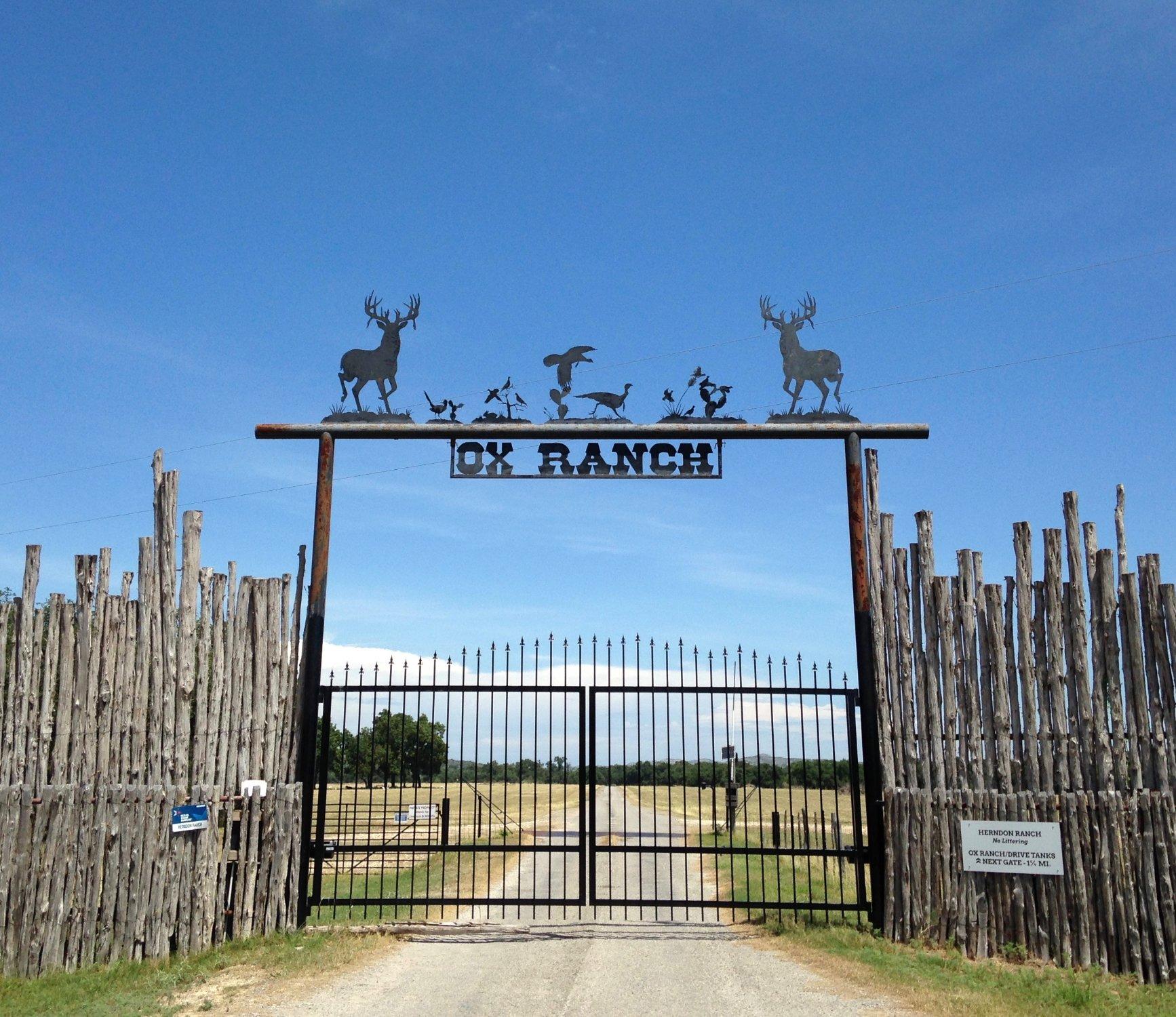 Ox Ranch