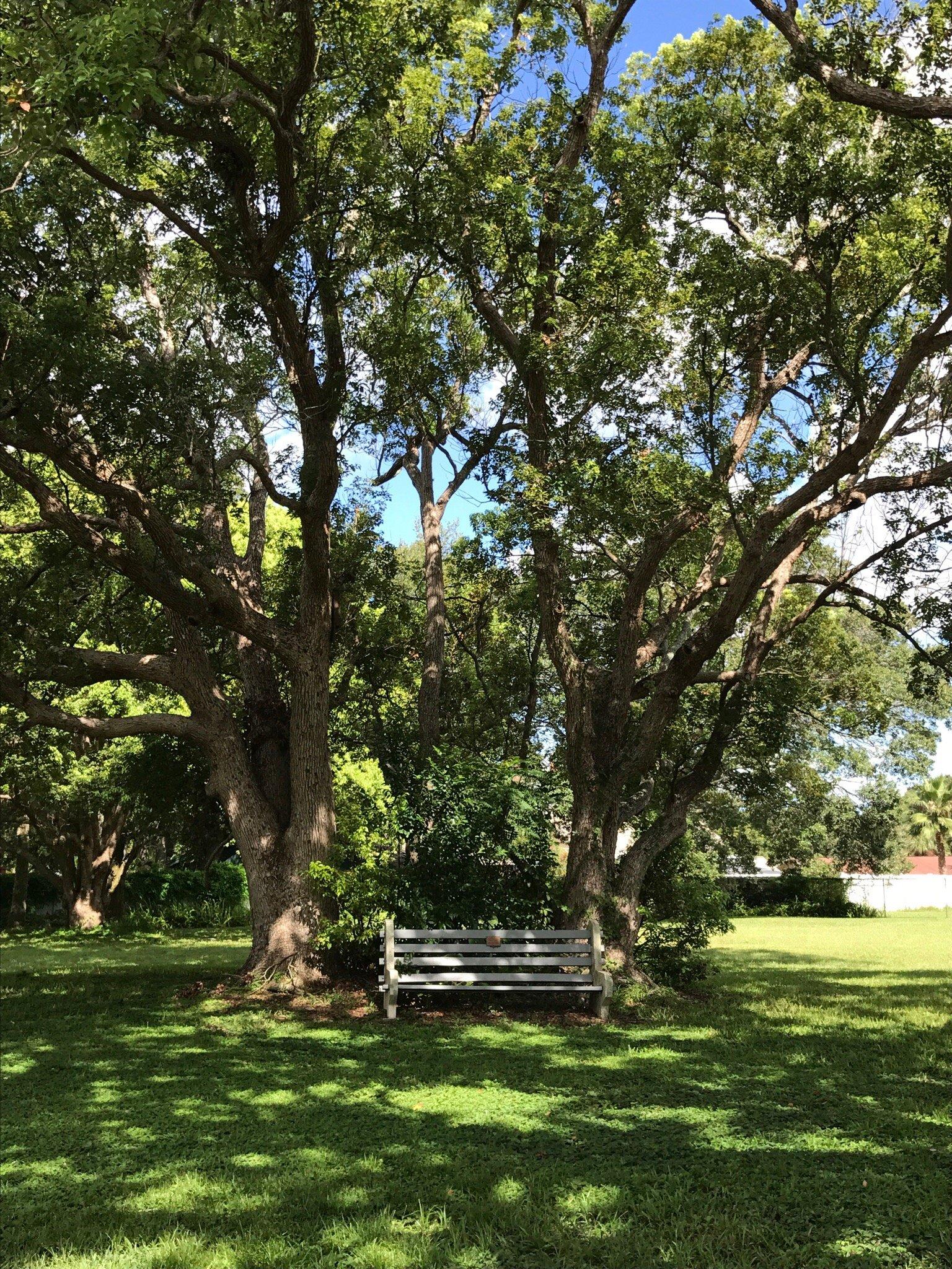 Palm Harbor Museum