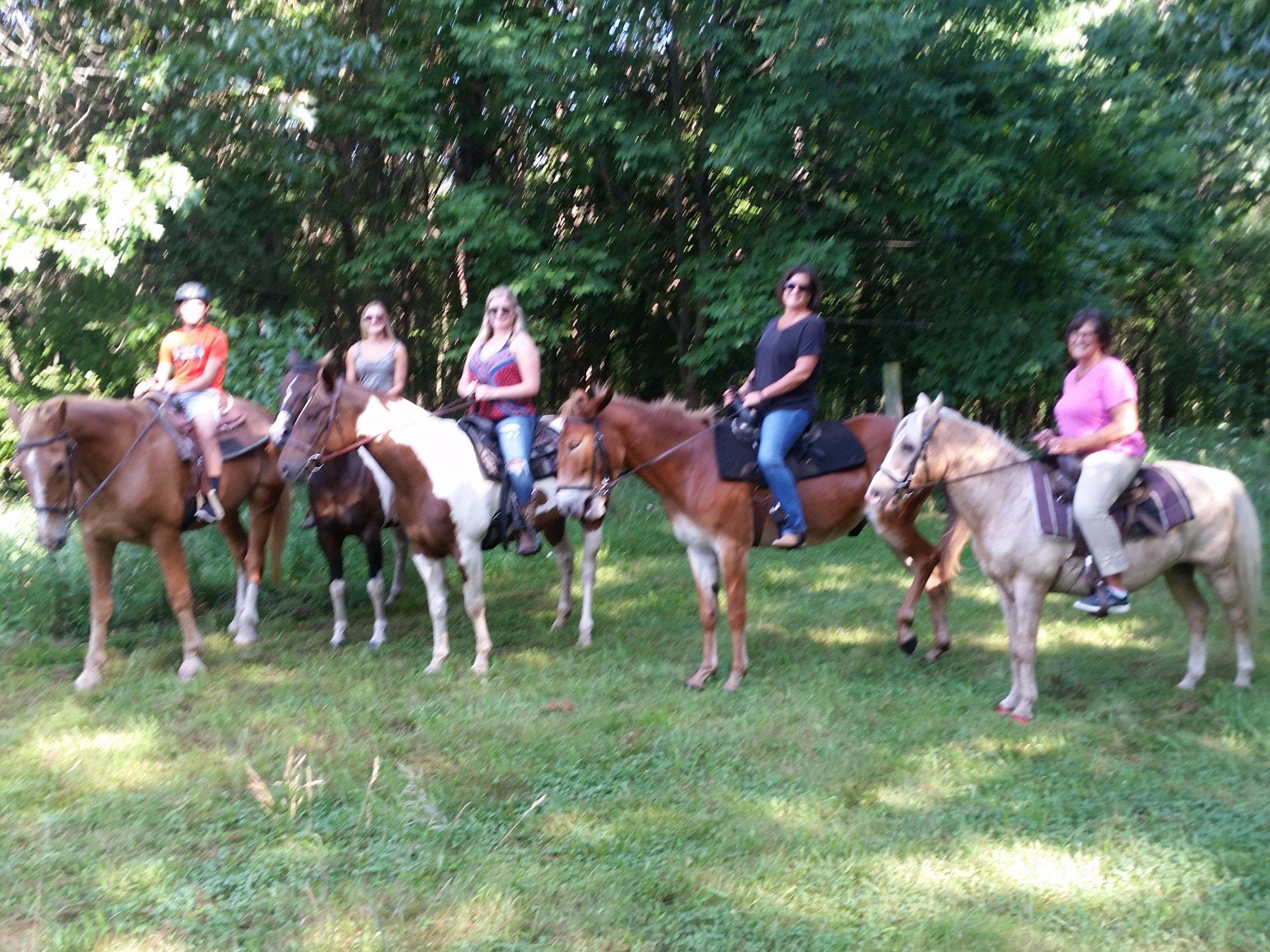 Coldwater Lake Stable