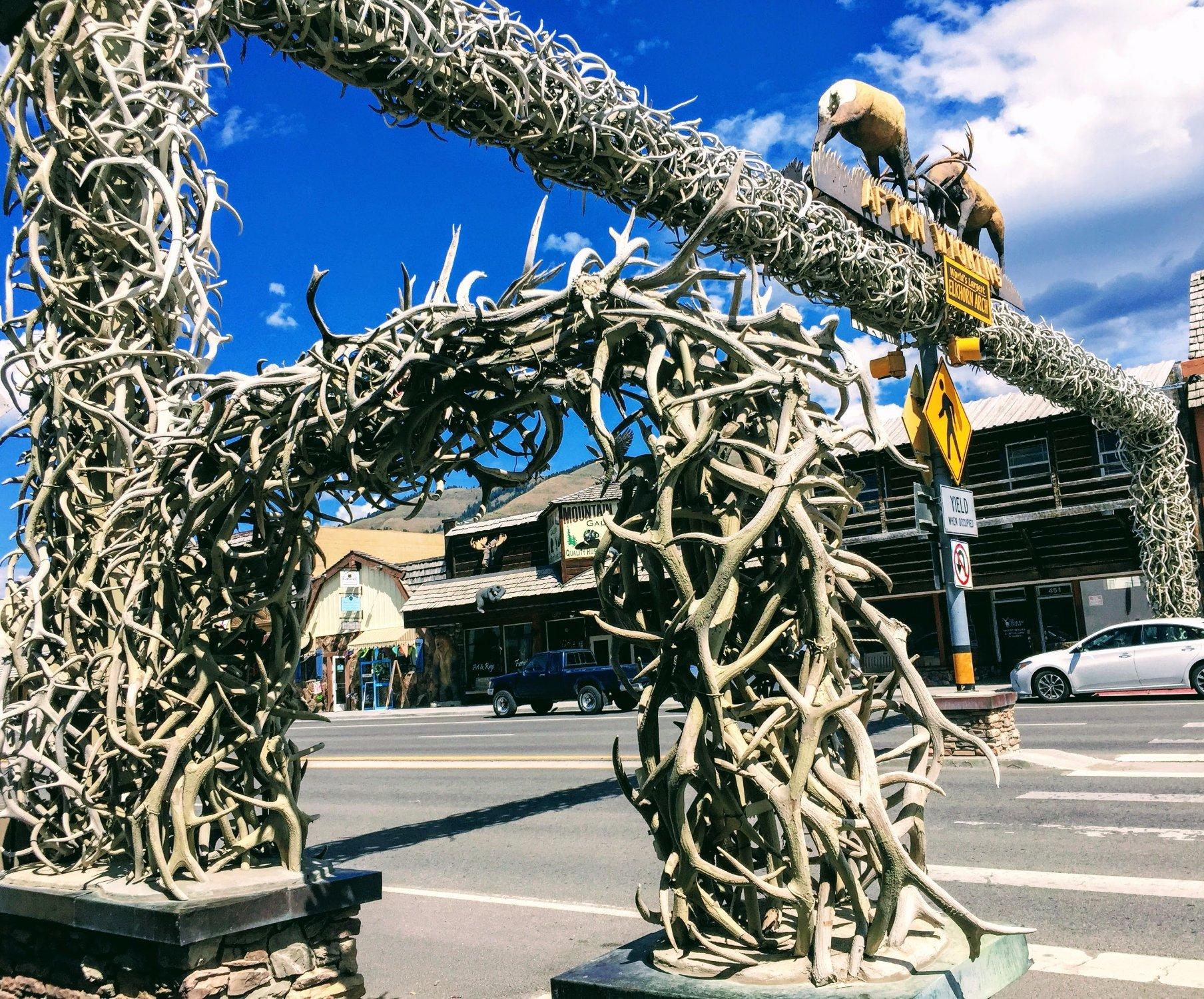 World's Largest Elkhorn Arch