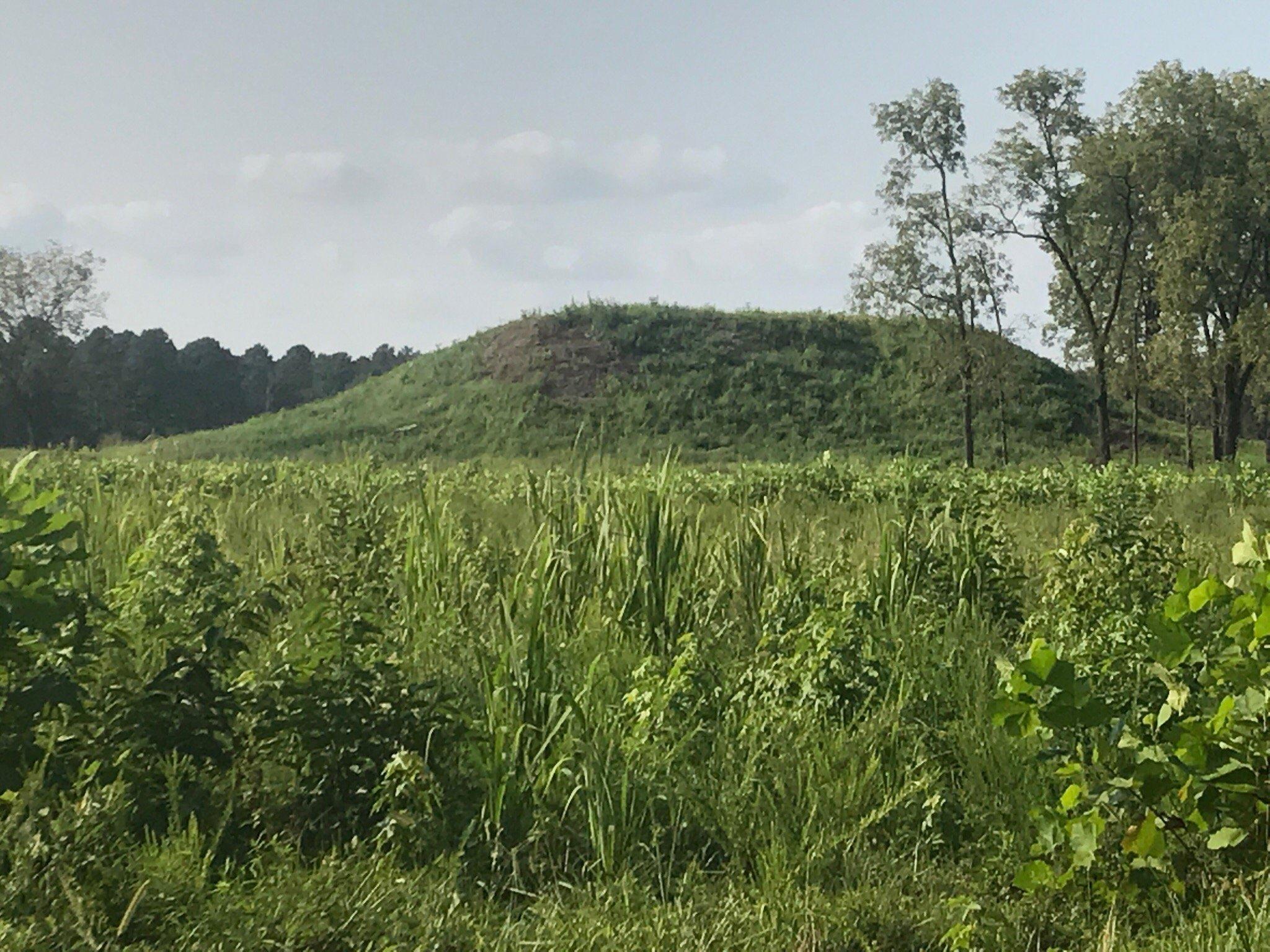 Pinson Mounds State Archaeological Park