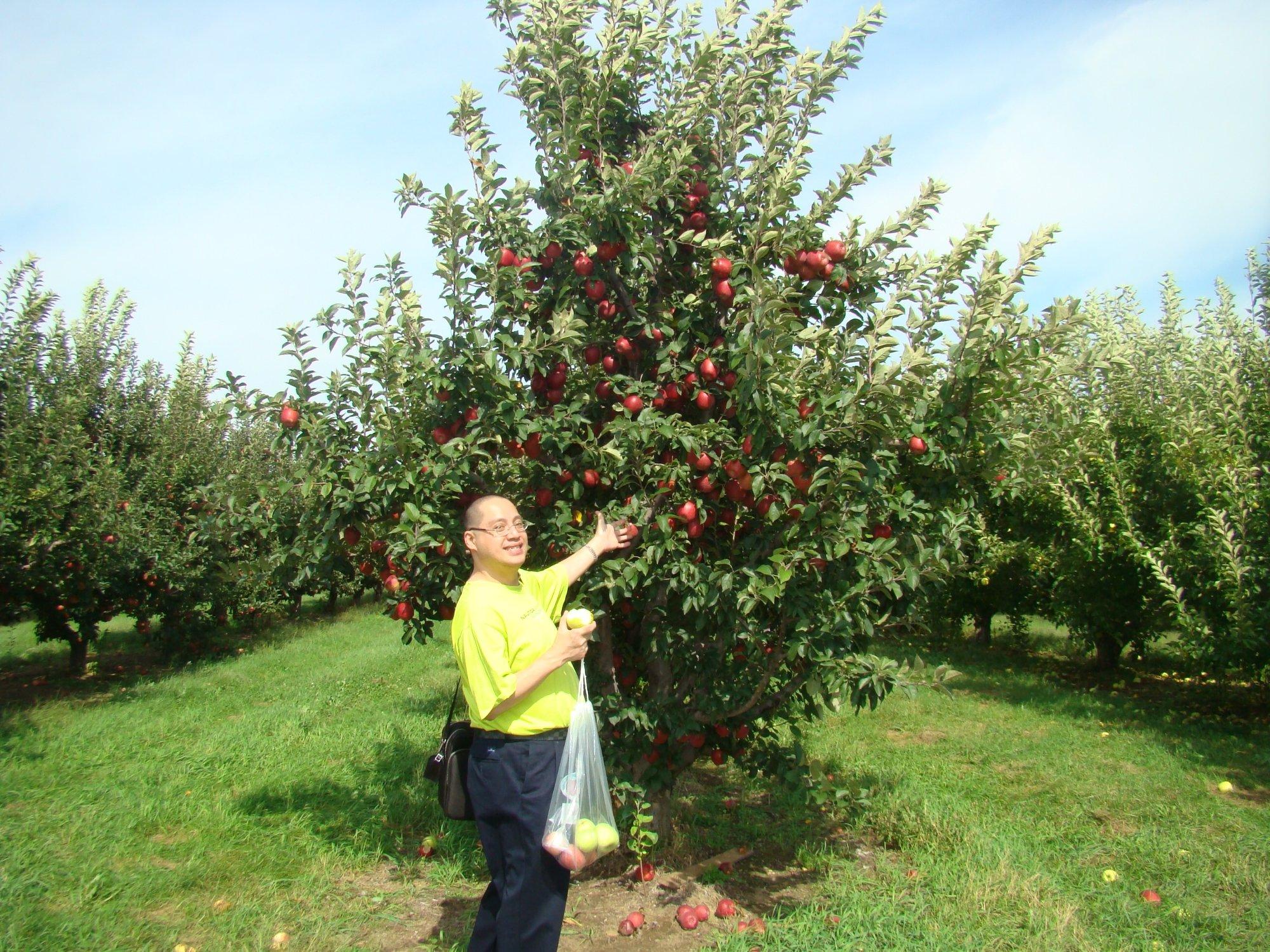 Garwood Orchards