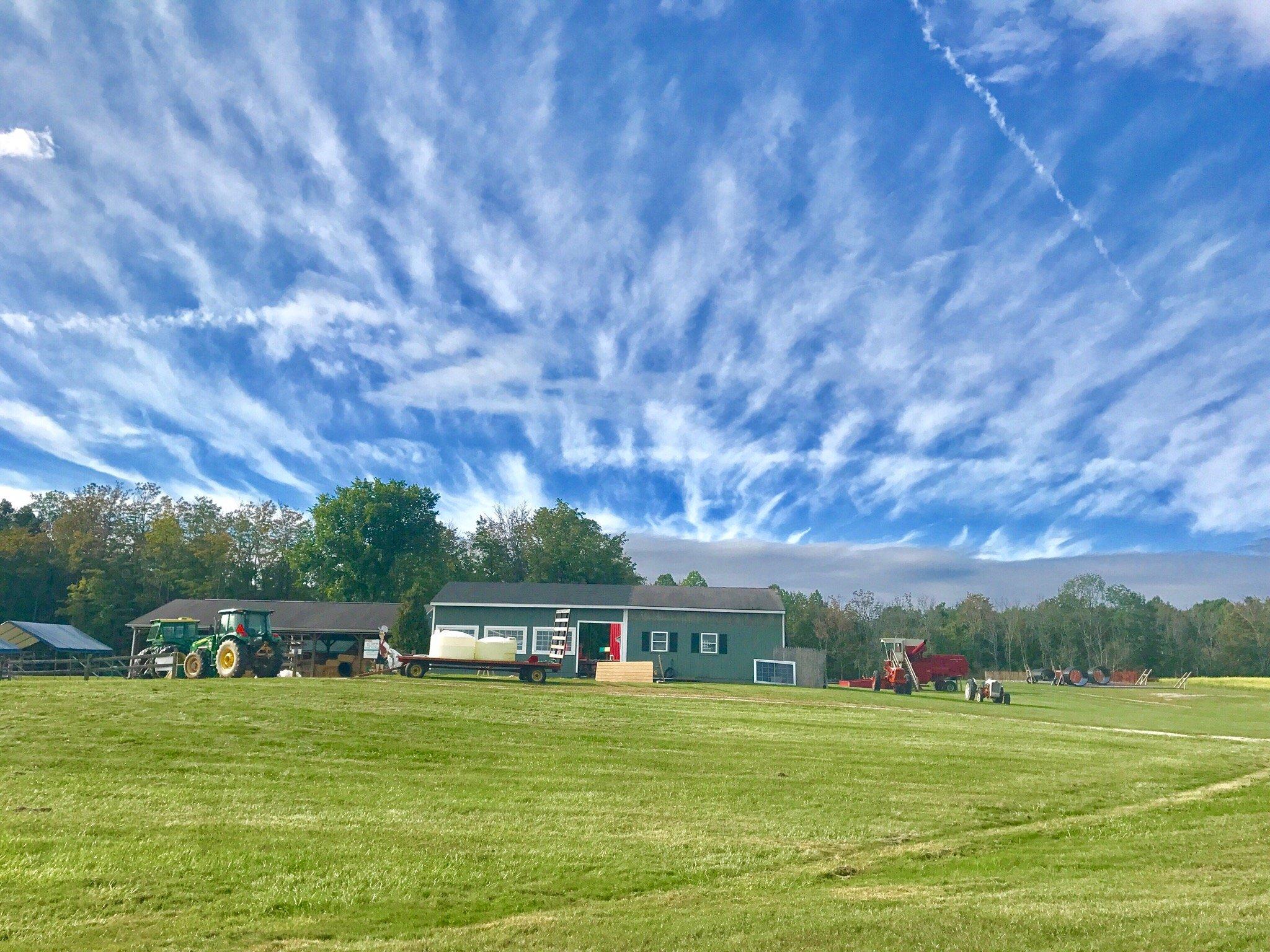 Patterson Fruit Farm - Mulberry Location