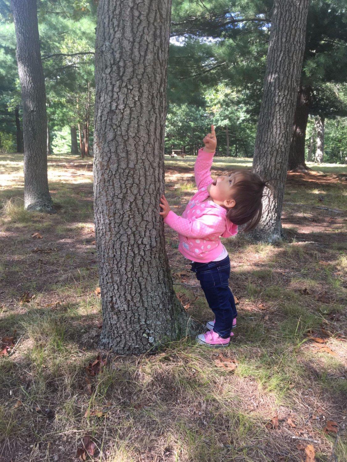 Wharton Brook State Park