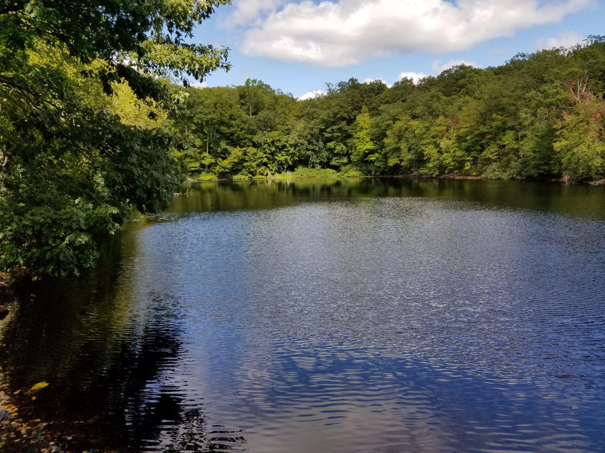 Lucius Pond Ordway / Devil's Den Preserve