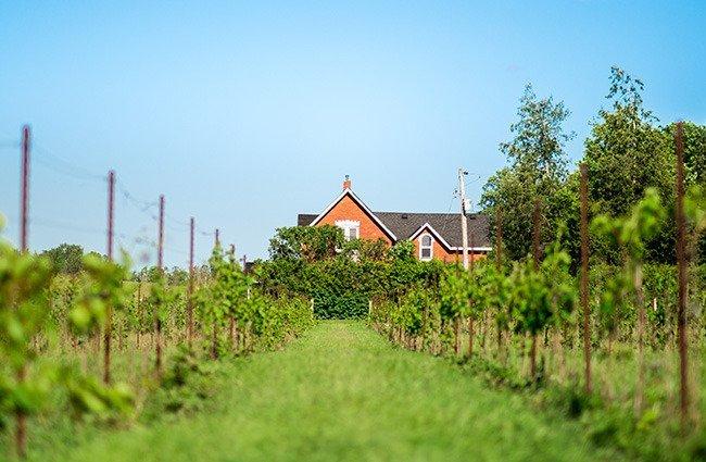 Heritage Estate Winery & Cidery