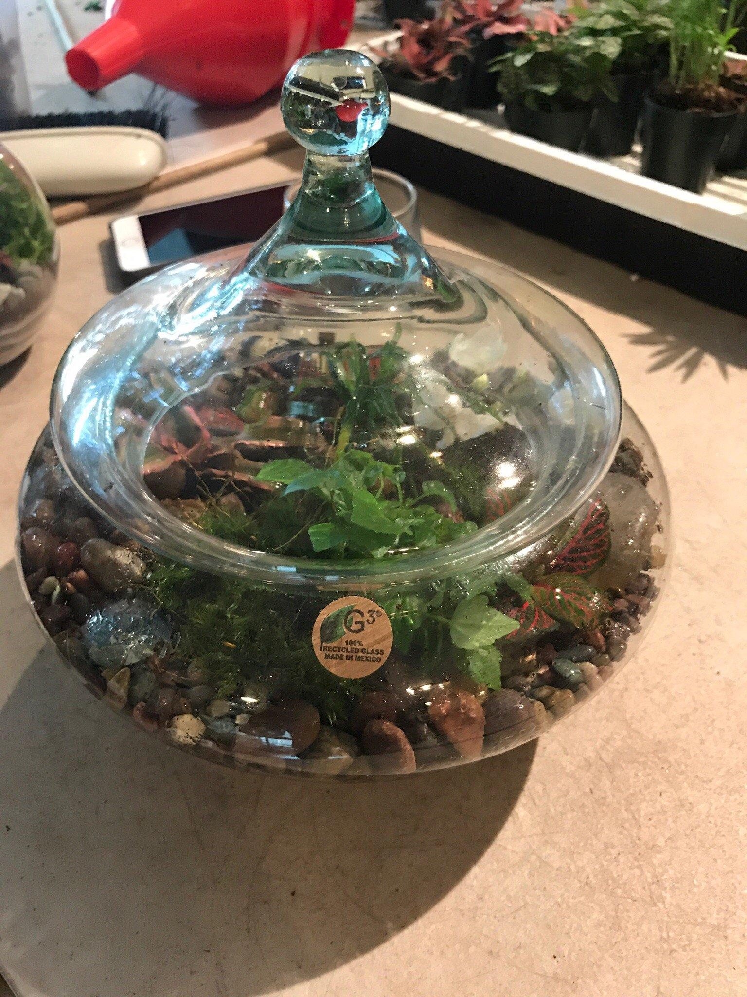 Roosevelt's Terrariums