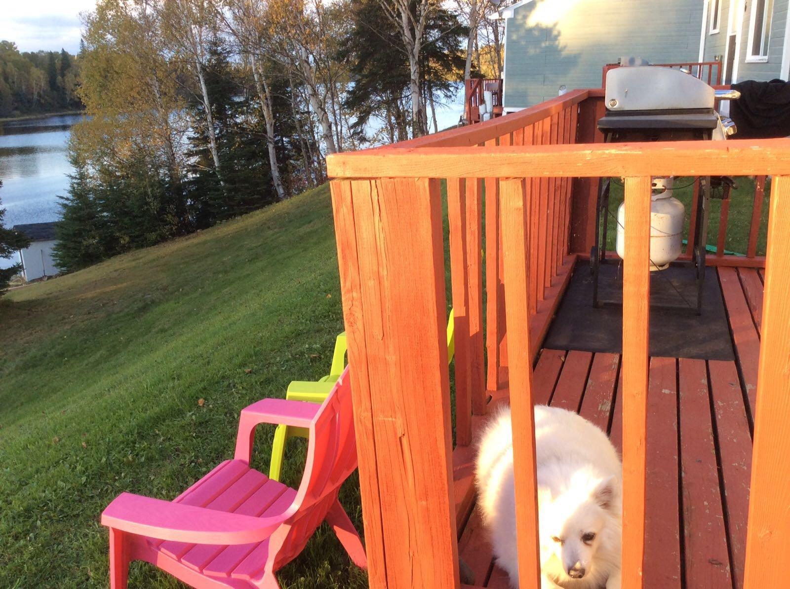 Catfish Lakefront Cabins