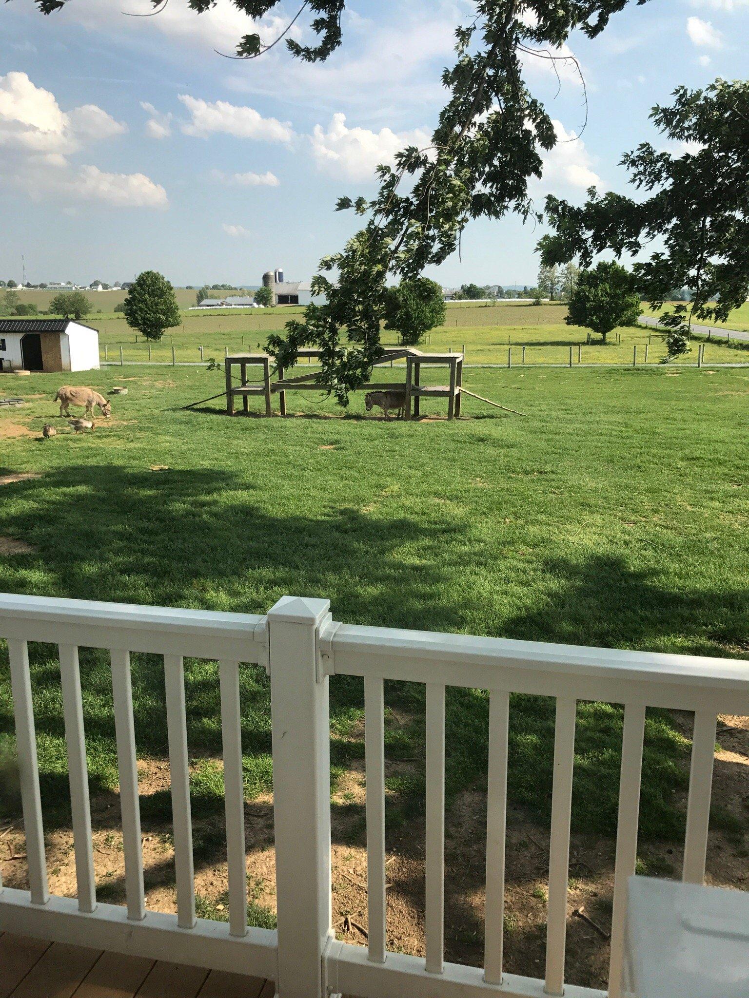 Countryside Road Stand