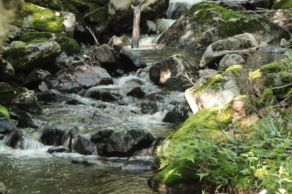 Corney Brook Trail