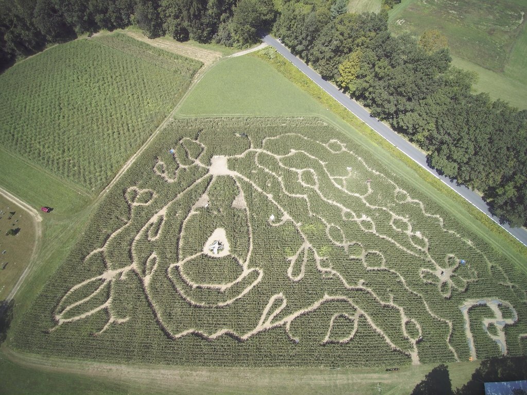 Hicks Family Farm Corn Maze