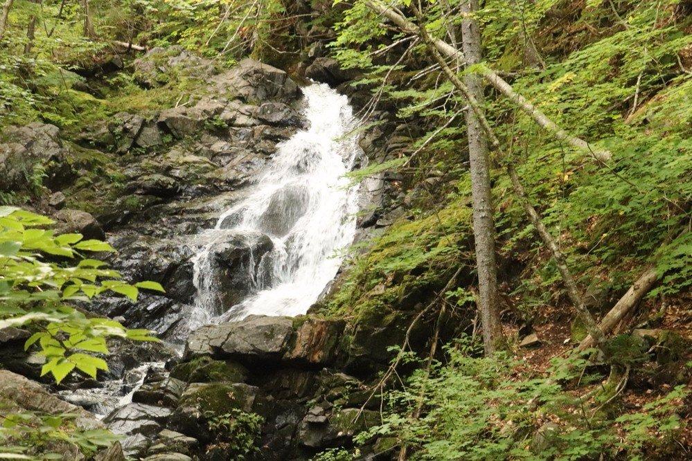 MacIntosh Brook Trail