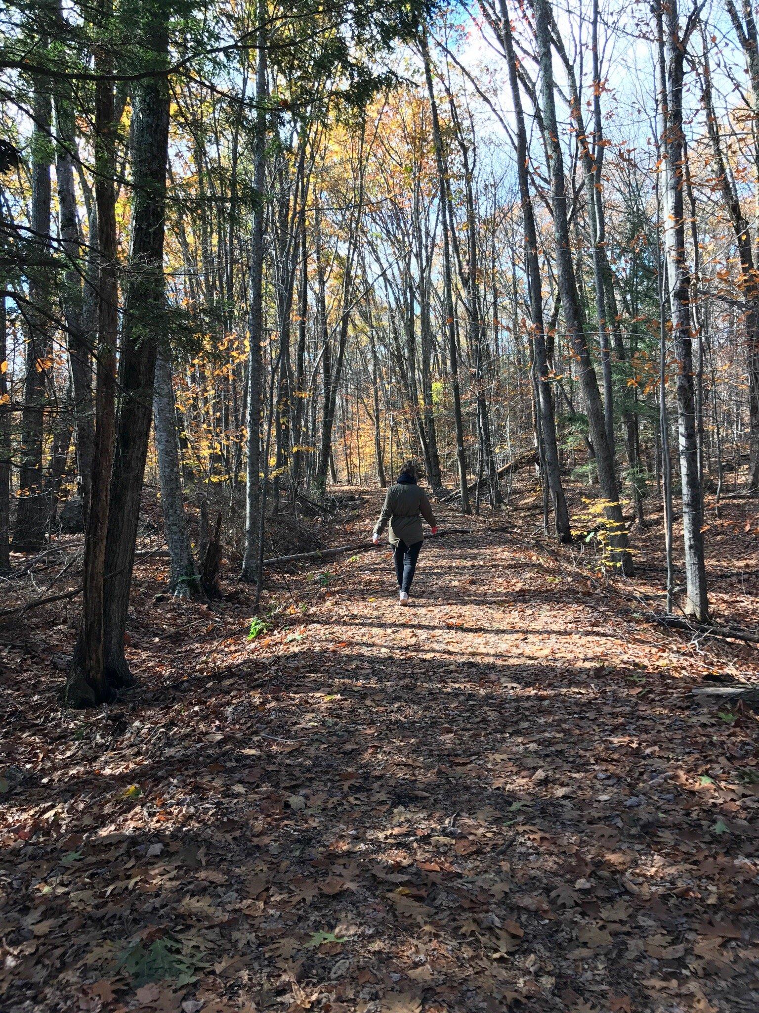 Kaaterskill Rail Trail