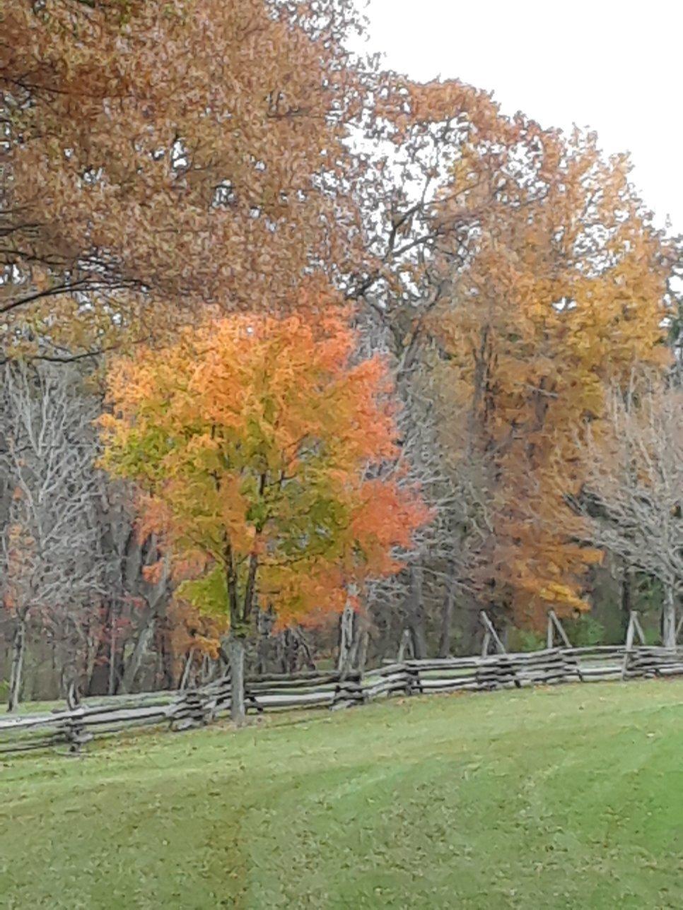 Somerset Historical Center