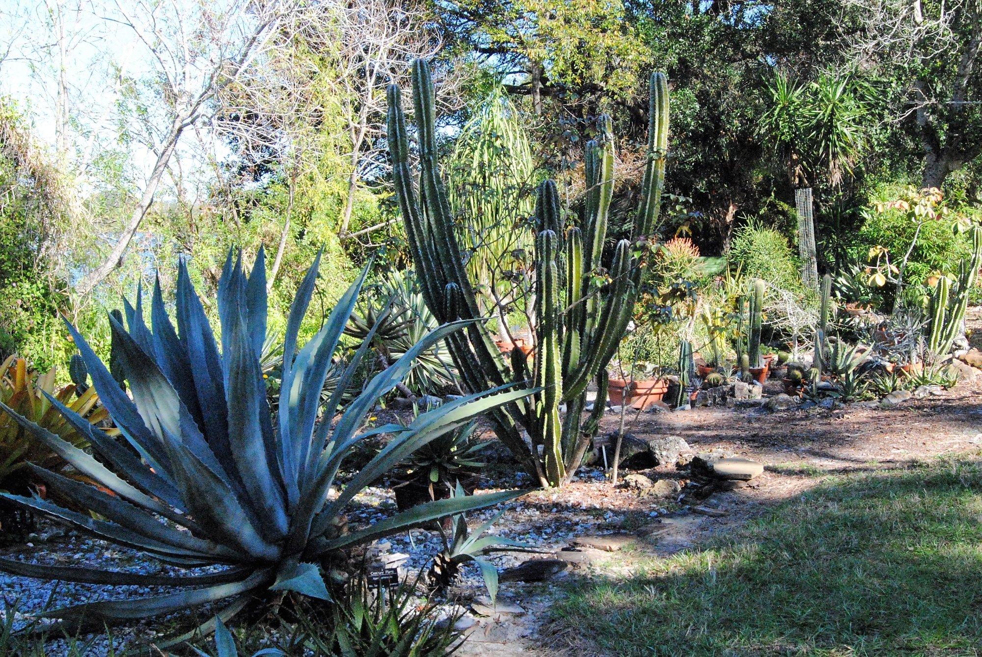 University of South Florida Botanical Gardens, Tampa