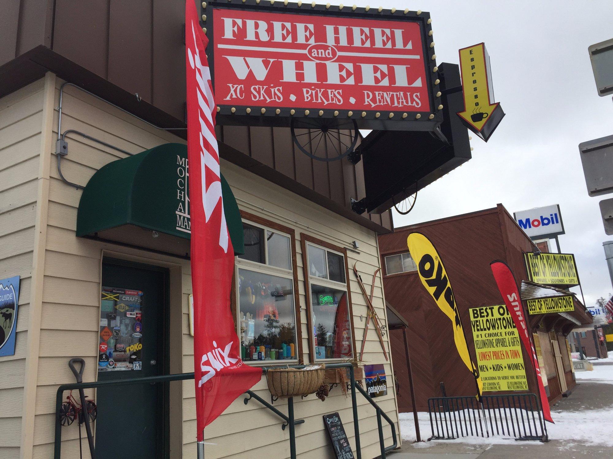 Freeheel and Wheel