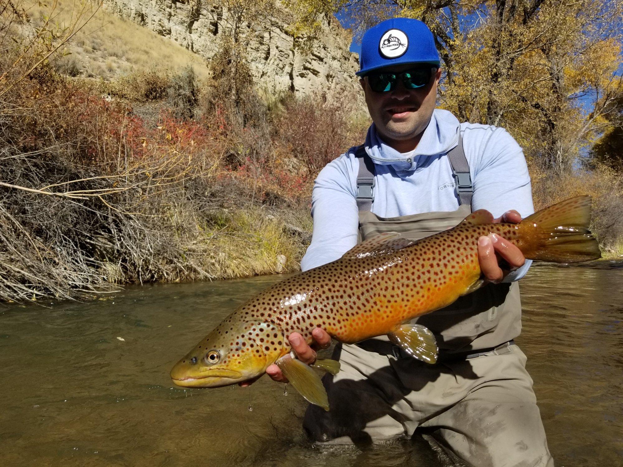 Simply Fly Fishing