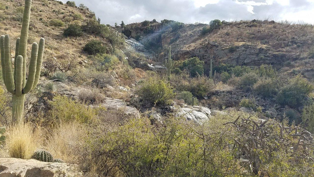 Douglas Spring Trail