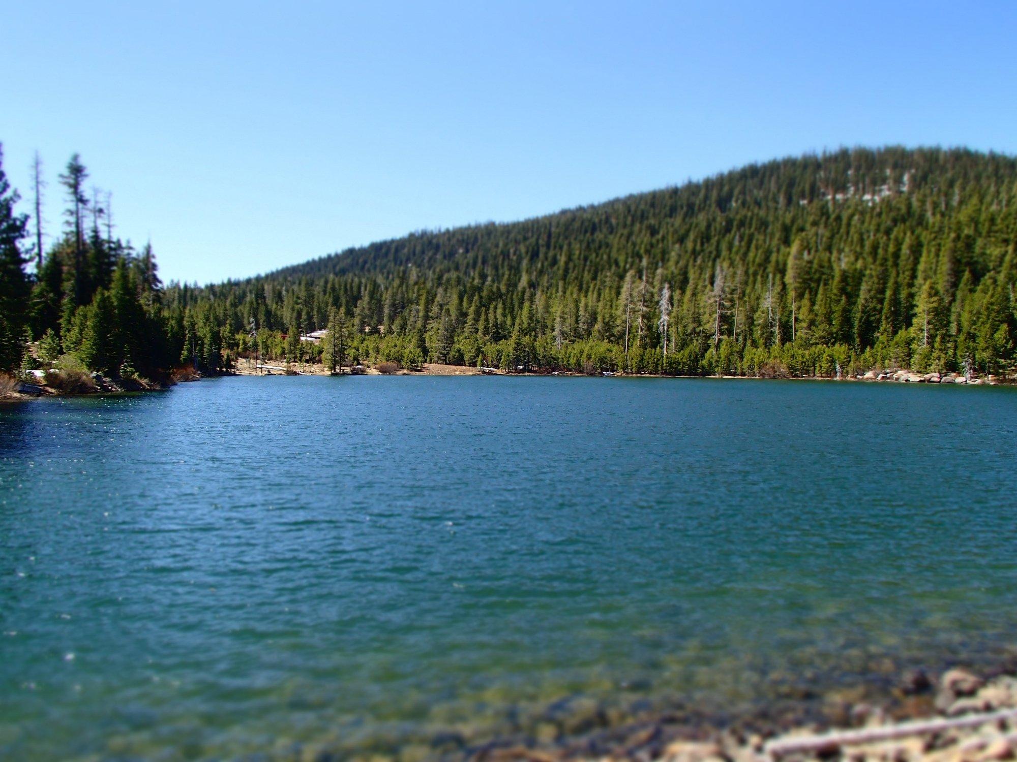 Sawmill Lake Fly Fishing