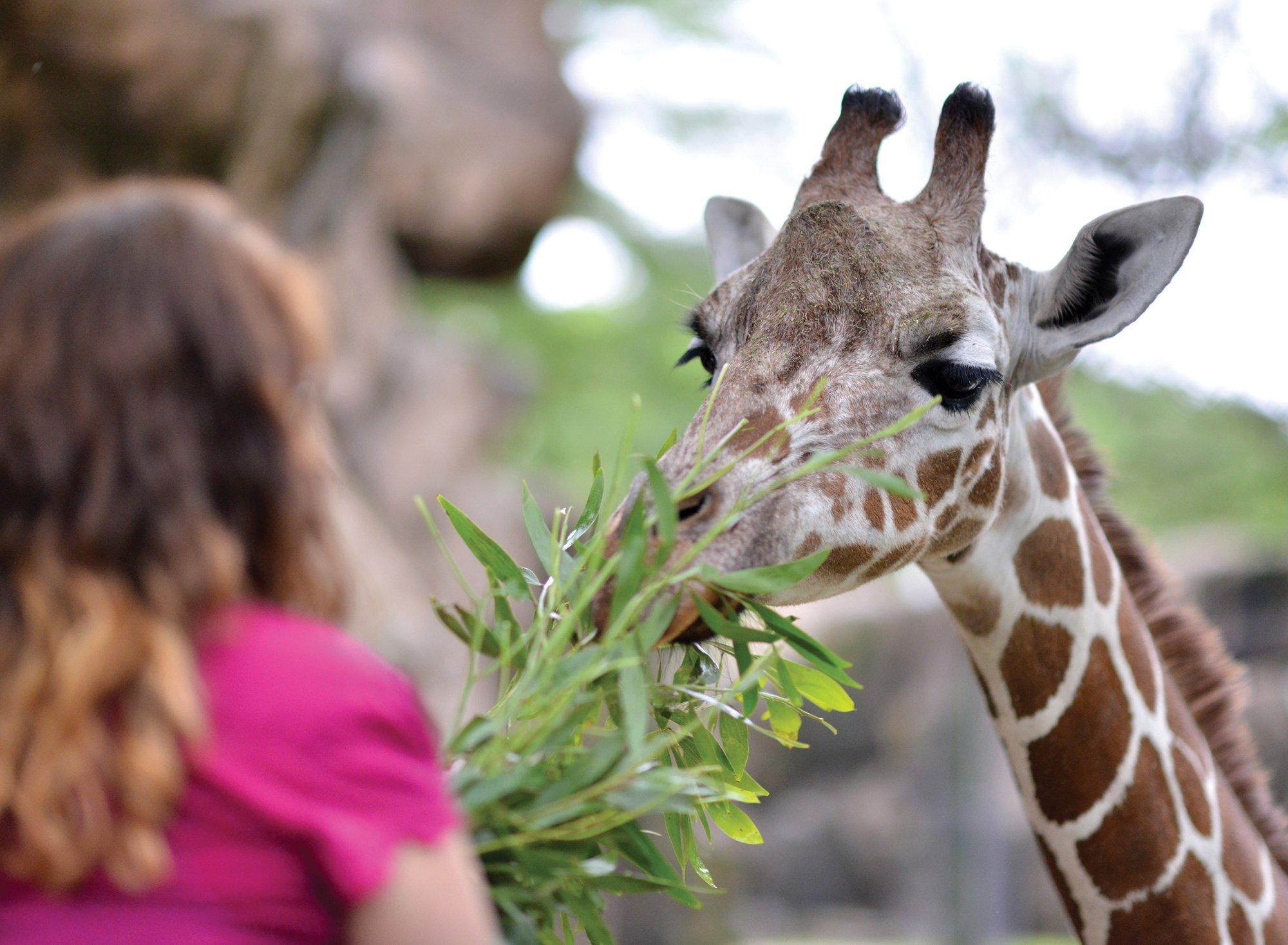 Philadelphia Zoo