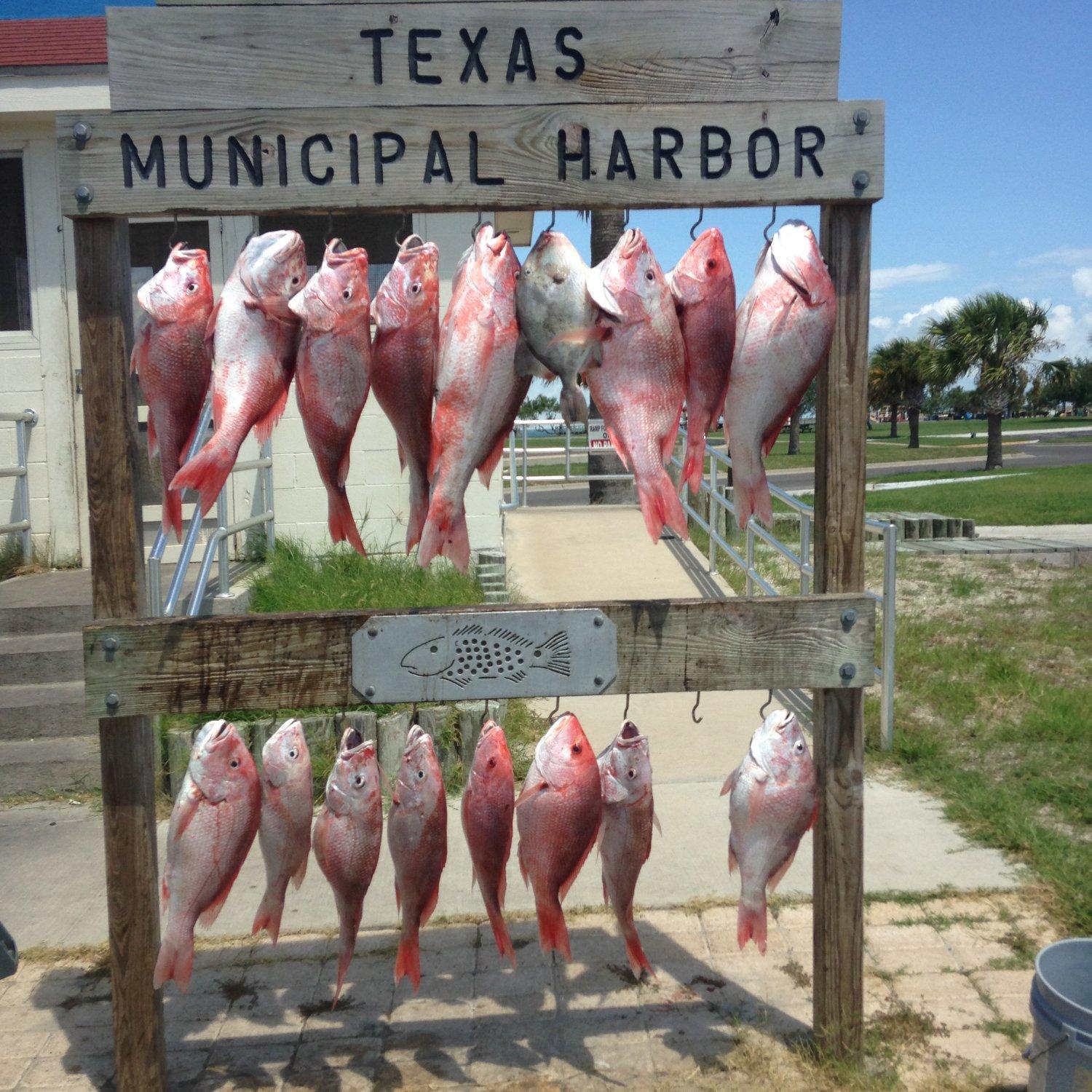 Pirates of the Bay Charters