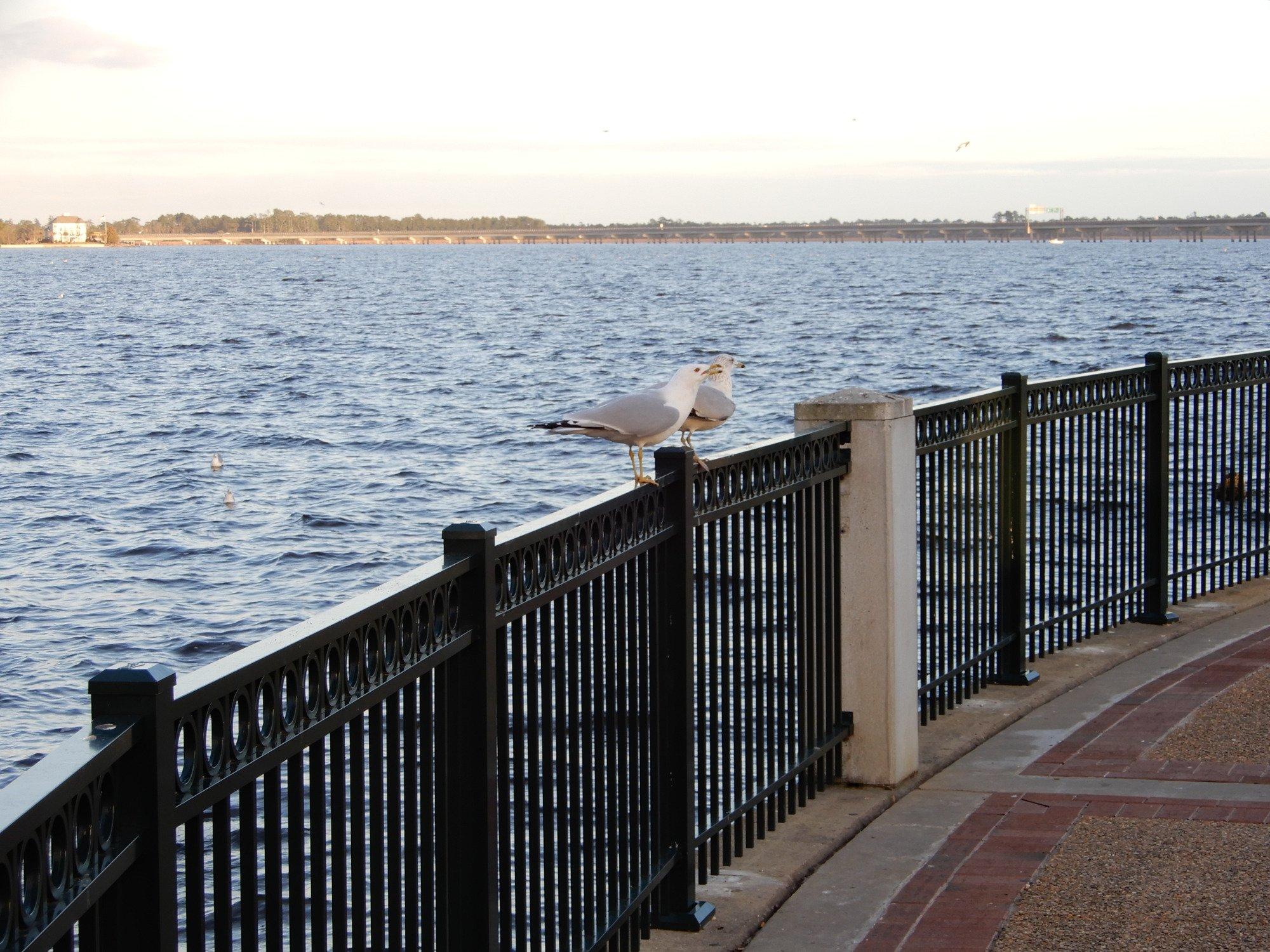 Union Point Park