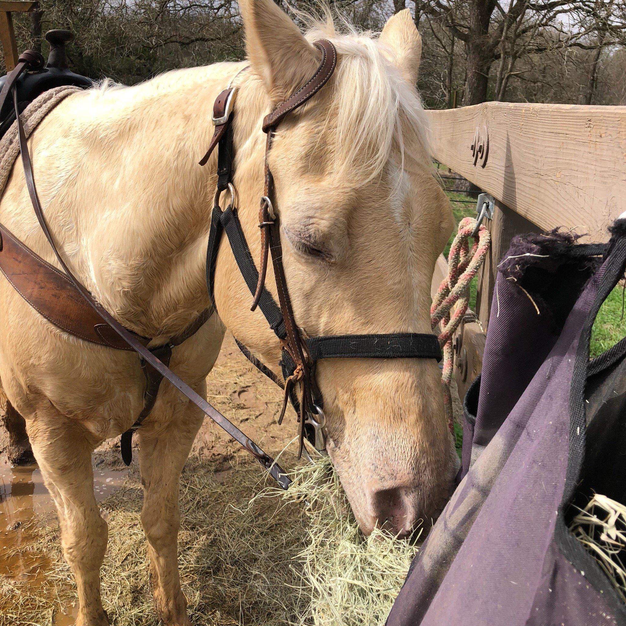 Renegade Equestrian Trailhead