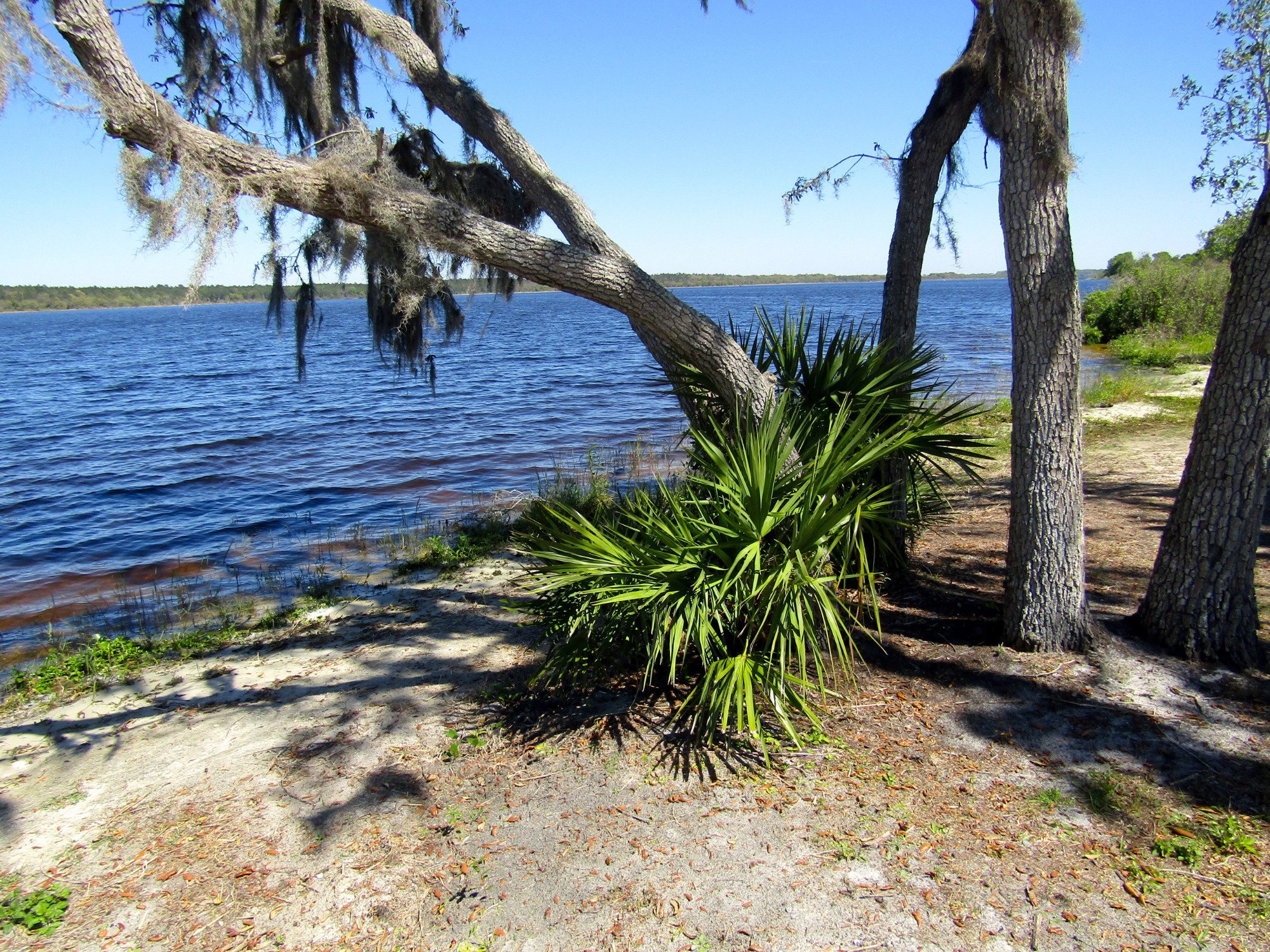 Lake Manatee State Park