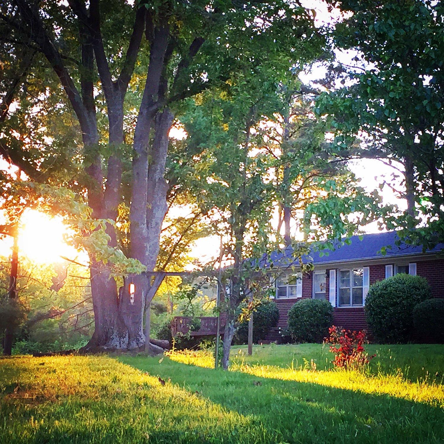 Modern Harvest Farms B&B