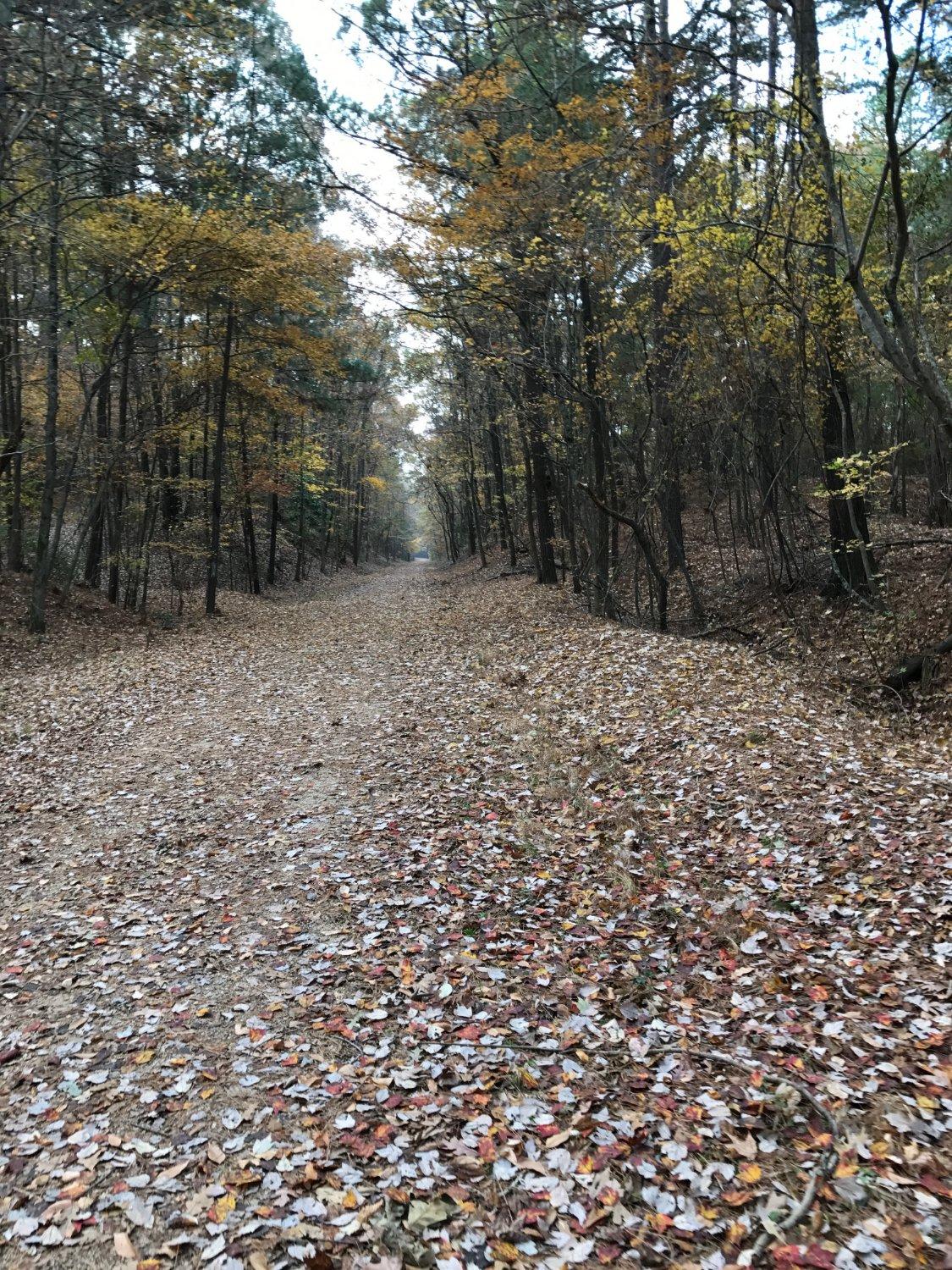 Rock Island Greenway