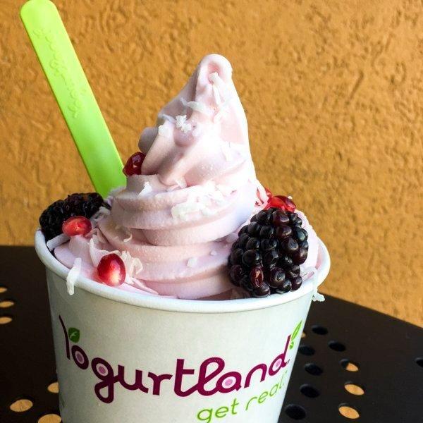 Yogurtland Santa Monica Promenade