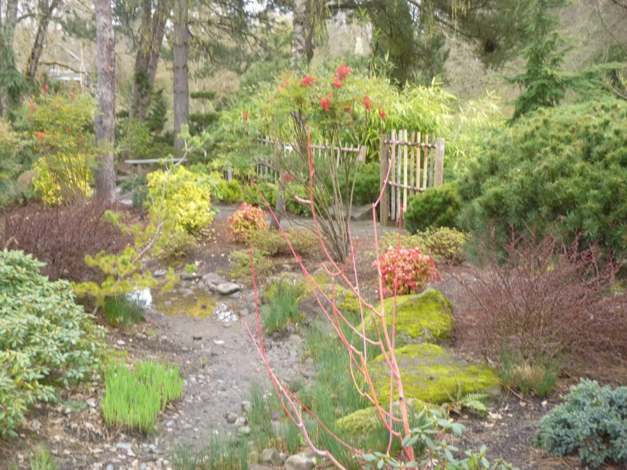 Gresham Japanese Garden