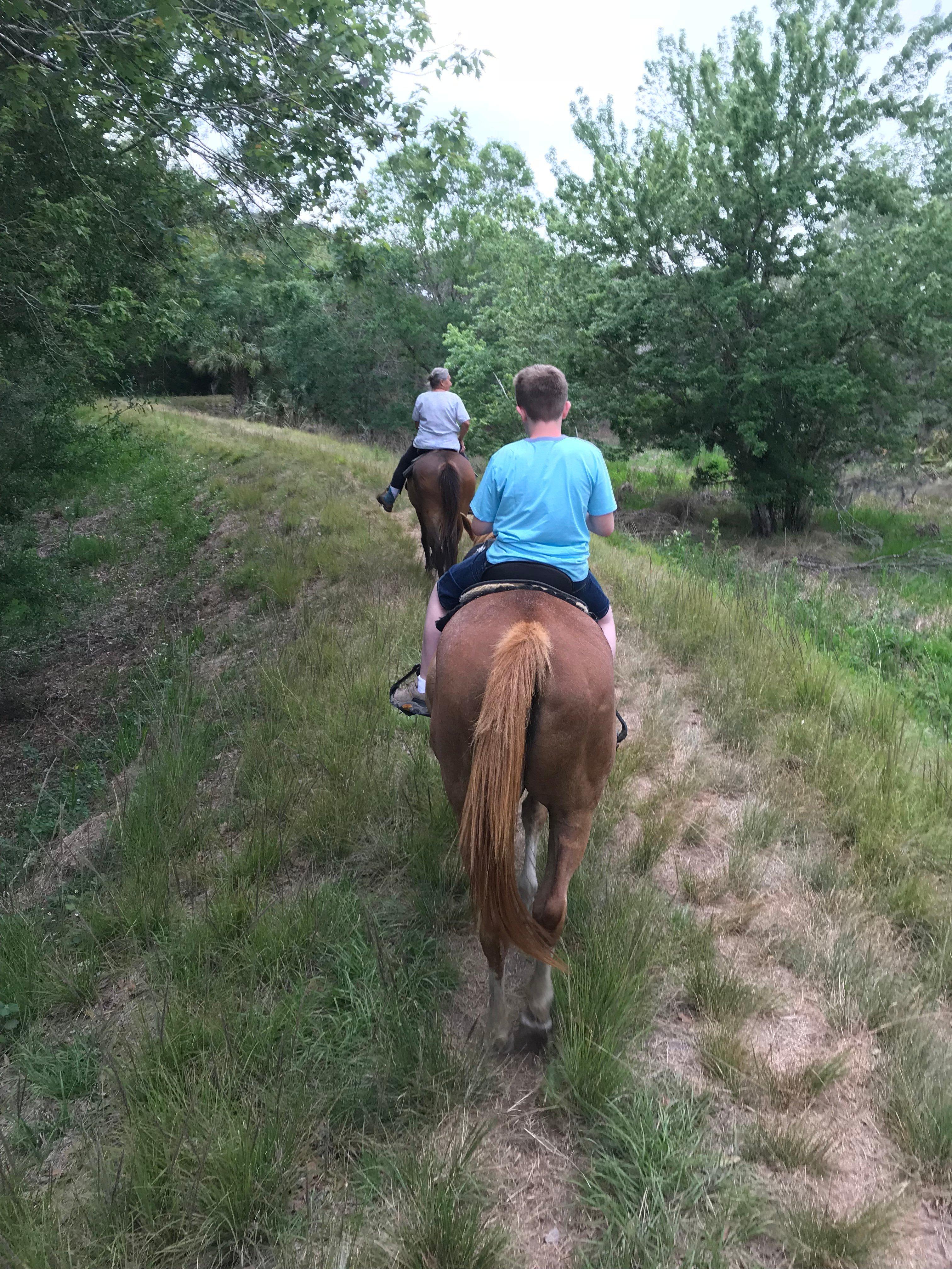 Lakeside Stables