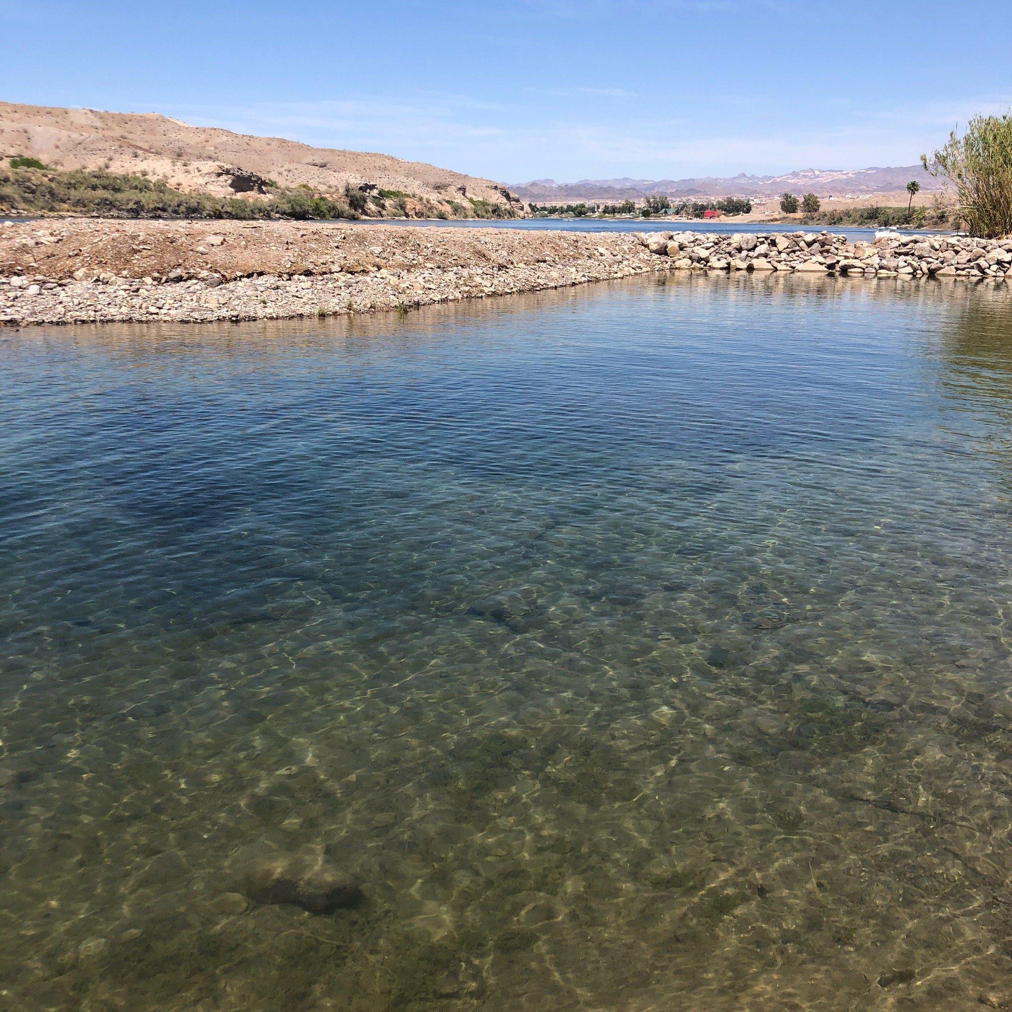 Colorado River Oasis 