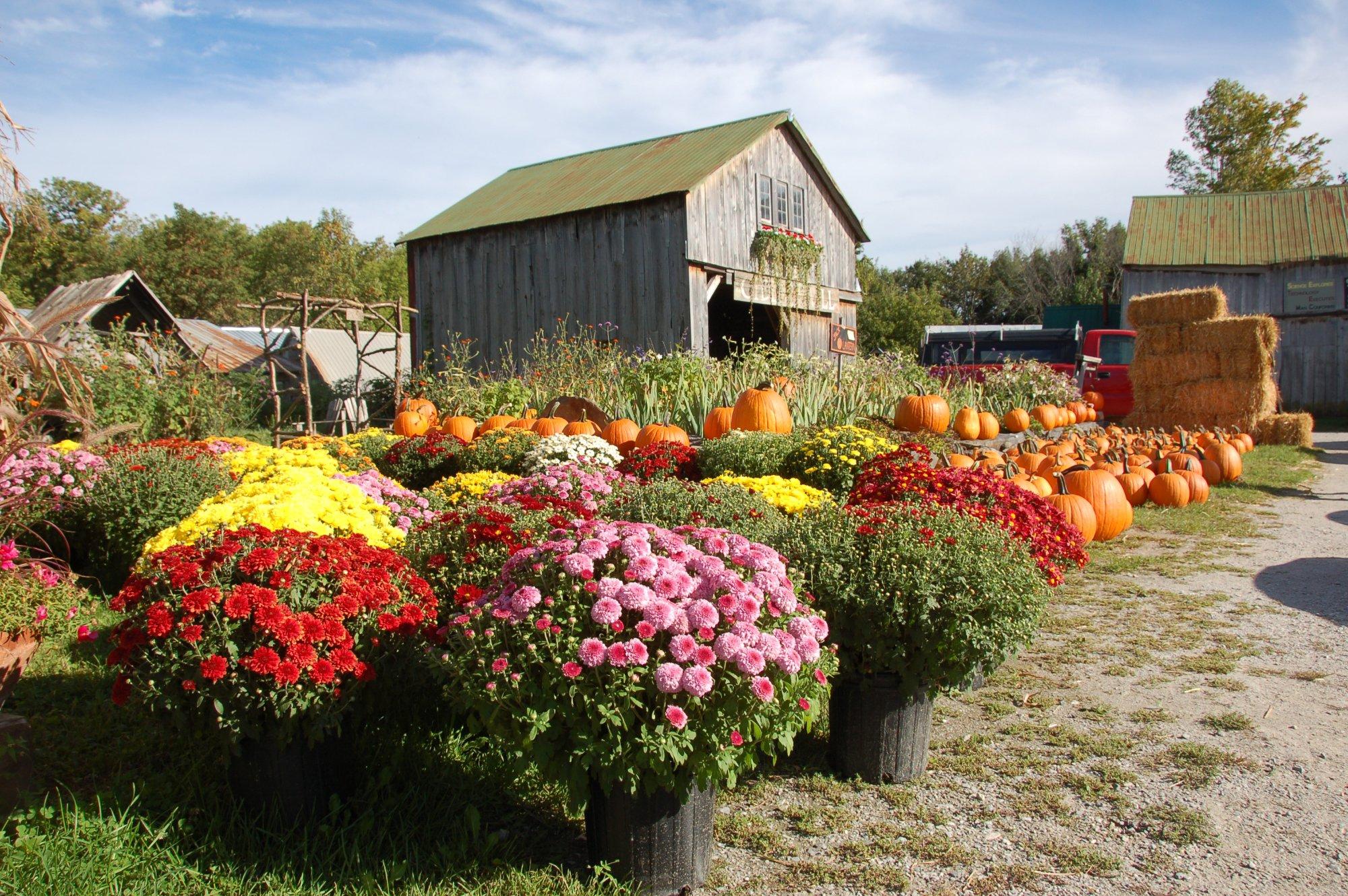 Hudak Farm