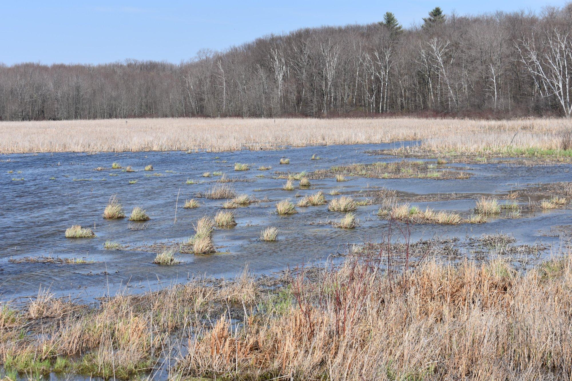 Beaver Meadow Wildlife Management Area