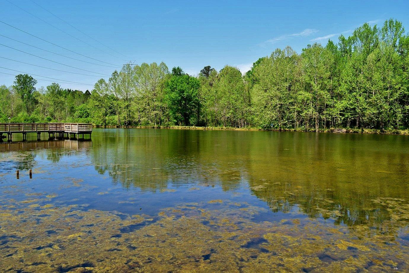 Brumley Forest Nature Preserve