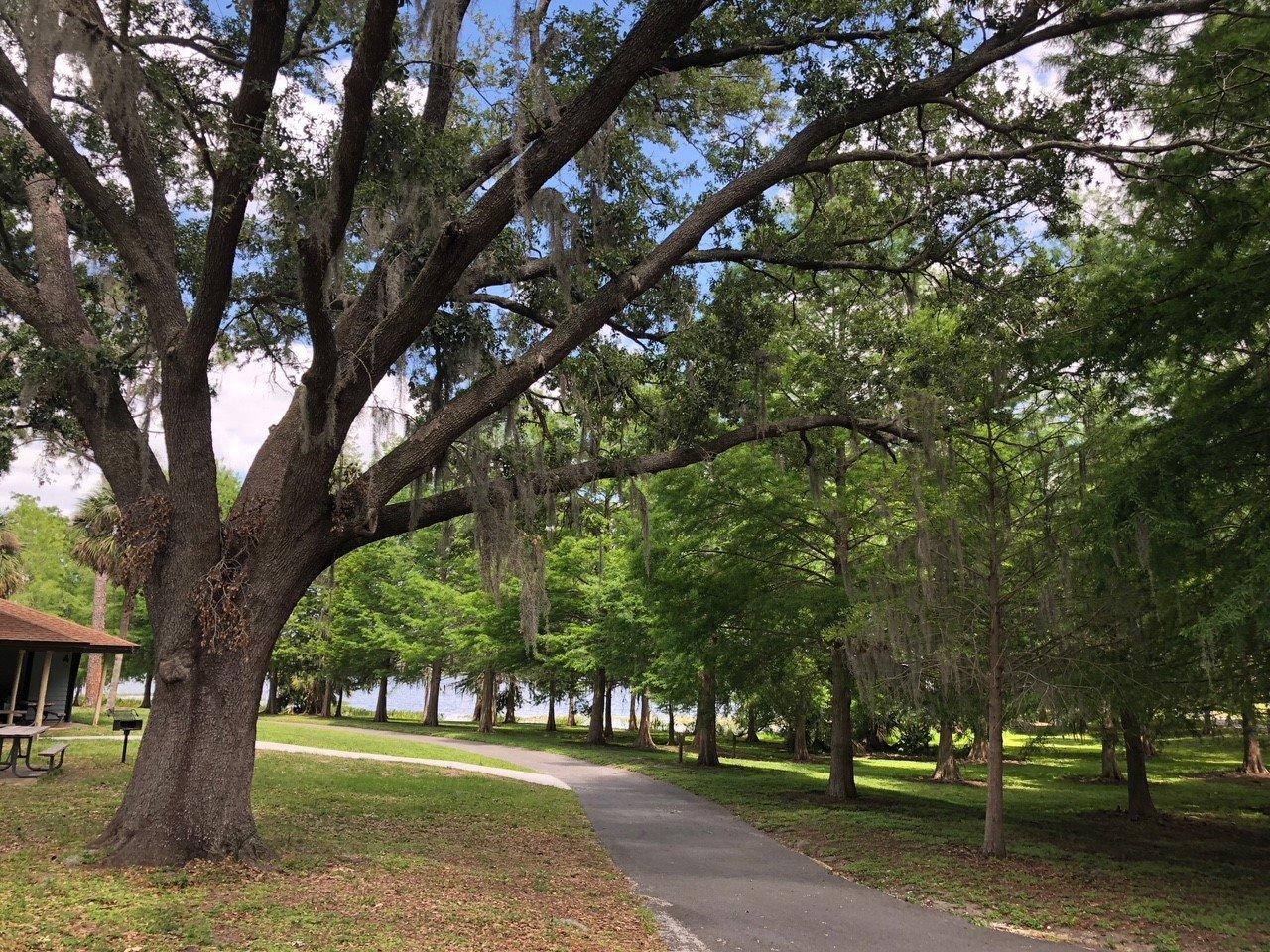 Bill Frederick Park at Turkey Lake