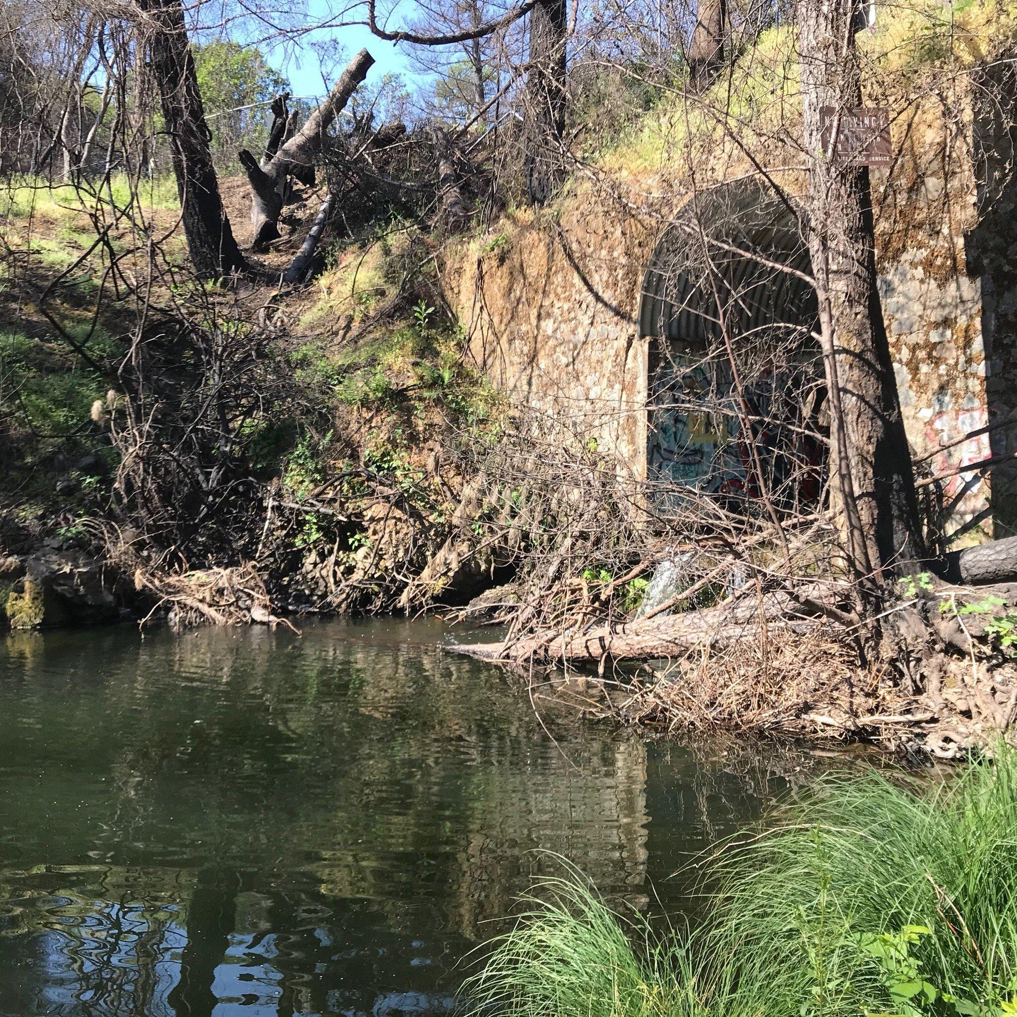 Mariposa Swimming Hole