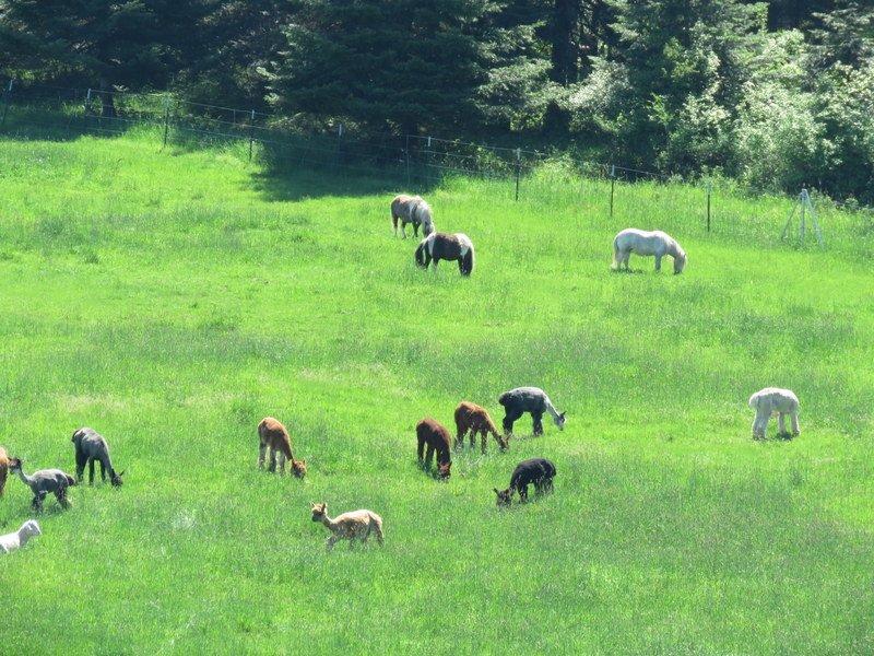 Seven Stars Ranch