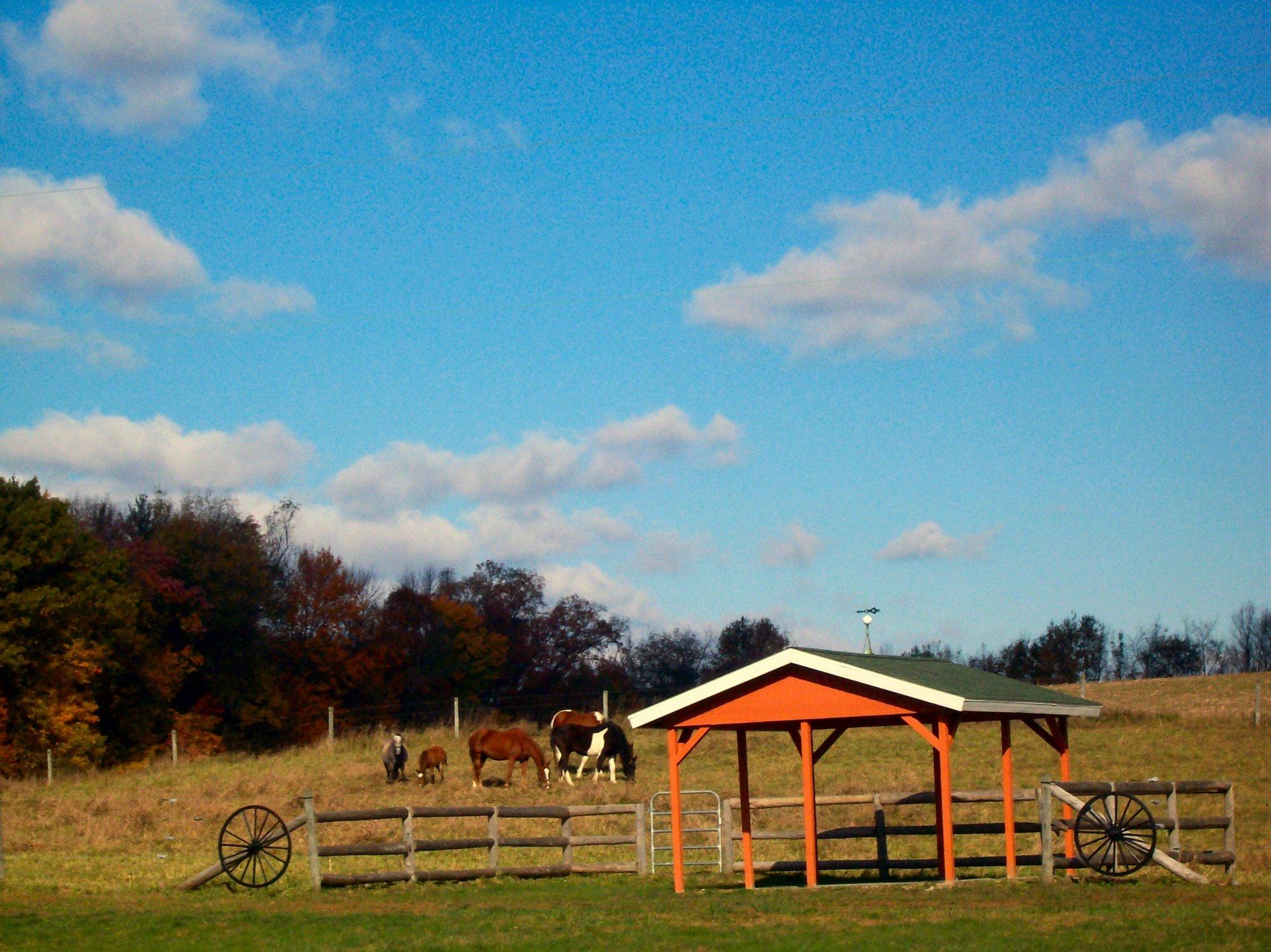 Our Daily Bread Campground