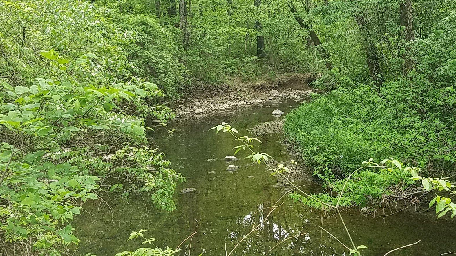 Cool Creek Park Nature Center