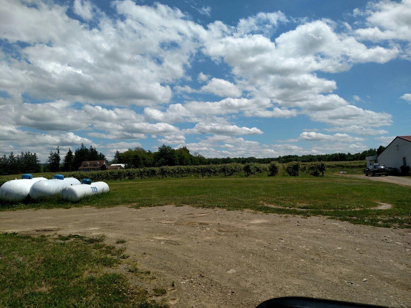 Sparkling Ponds Winery